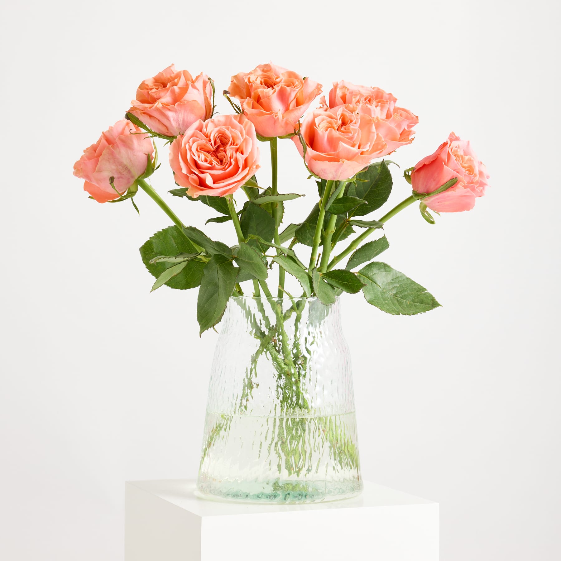 Ein Strauß leuchtend pfirsichfarbener Rosen in einer Glasvase hebt sich von einem schlichten weißen Hintergrund ab.