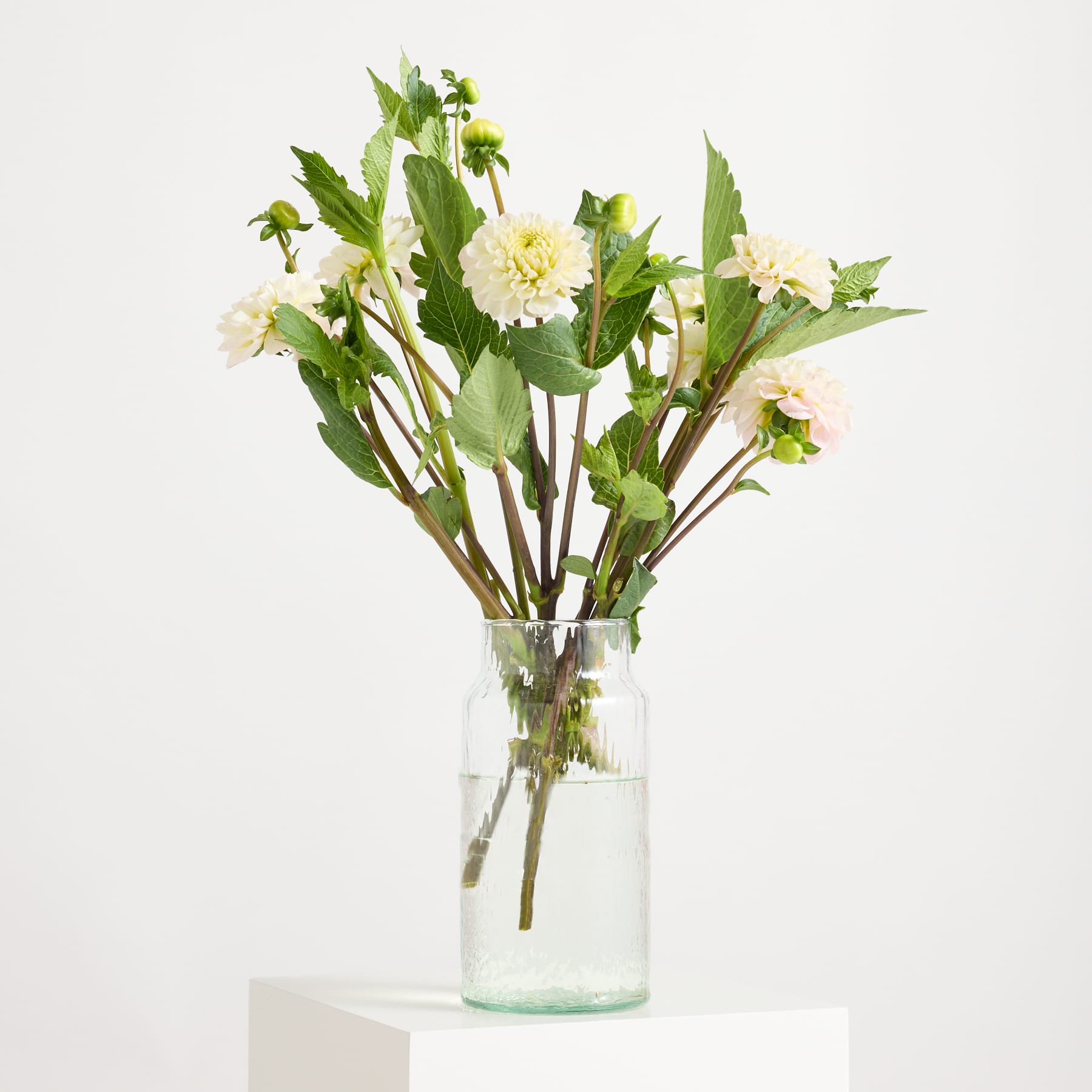 Ein Strauß zarter weißer und gelber Blumen, arrangiert in einer Glasvase vor einem schlichten weißen Hintergrund. (Beschreibungstext KI-generiert)