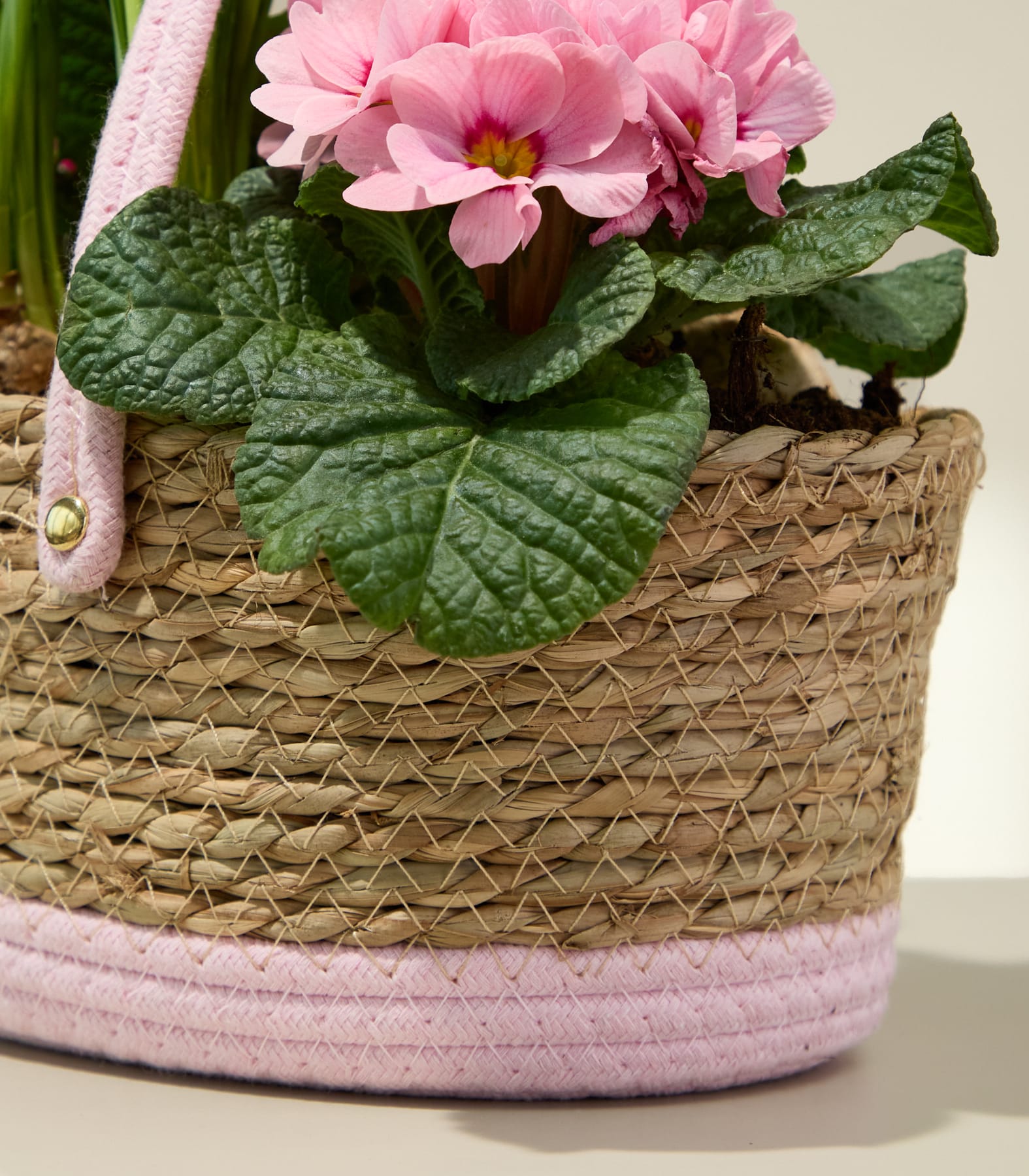 Ein geflochtener Korb voller leuchtend rosa und gelber Blumen vor einem schlichten weißen Hintergrund.