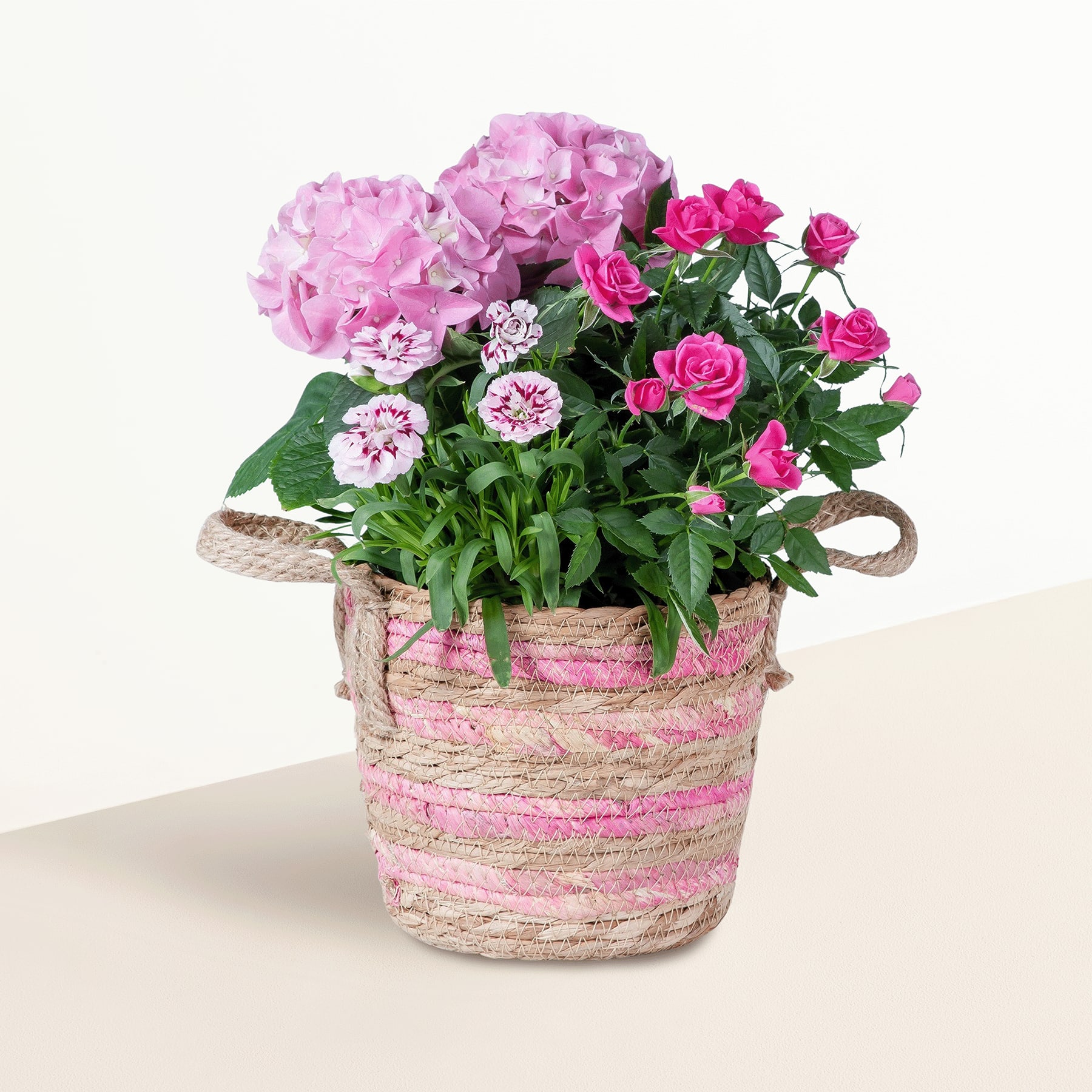 Ein leuchtender Strauß rosa Hortensien und Rosen in einem geflochtenen Korb vor einem schlichten weißen Hintergrund.