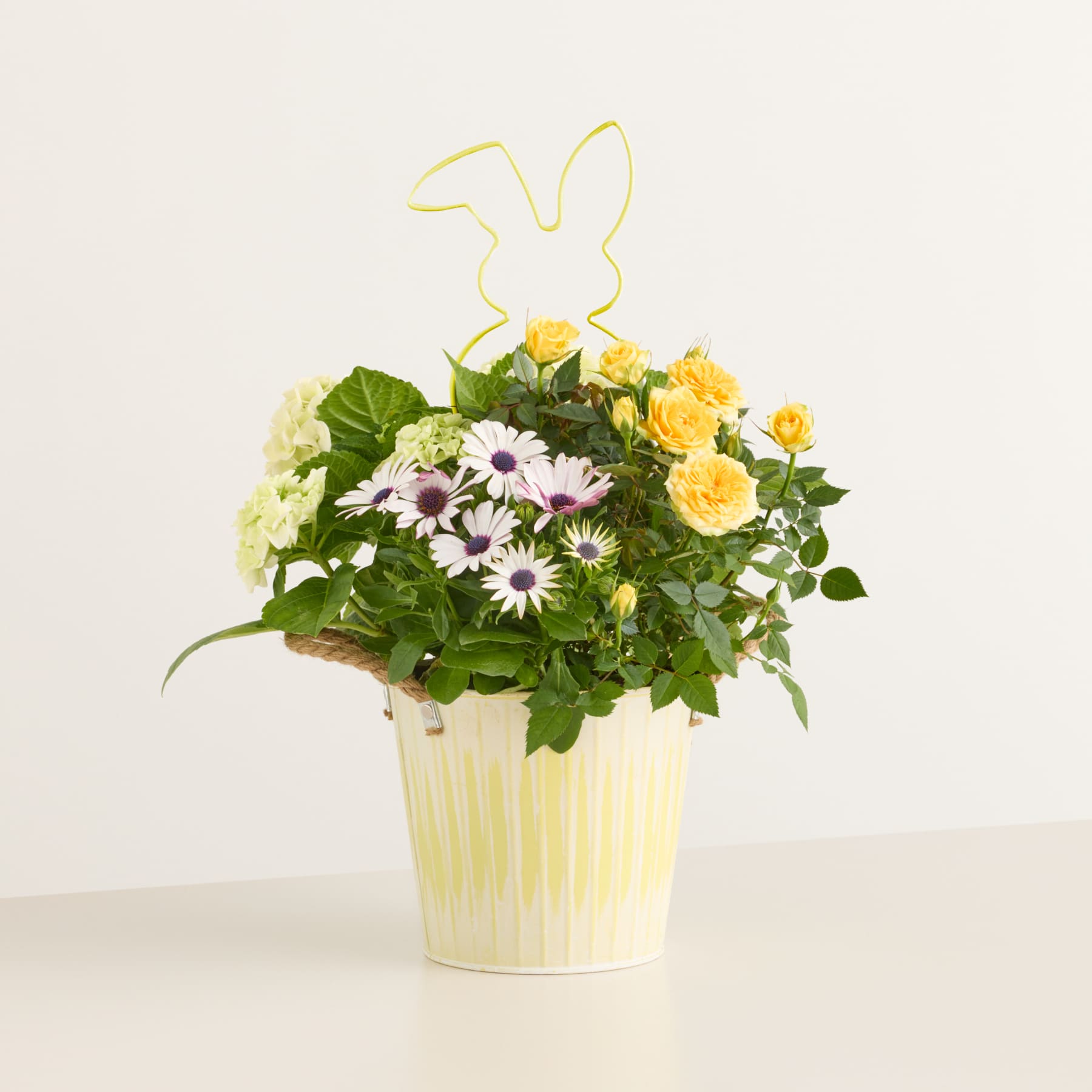 Ein leuchtender Strauß aus gelben Rosen, weißen Gänseblümchen und grünem Laub, arrangiert in einer gelben Keramikvase vor einem schlichten weißen Hintergrund.