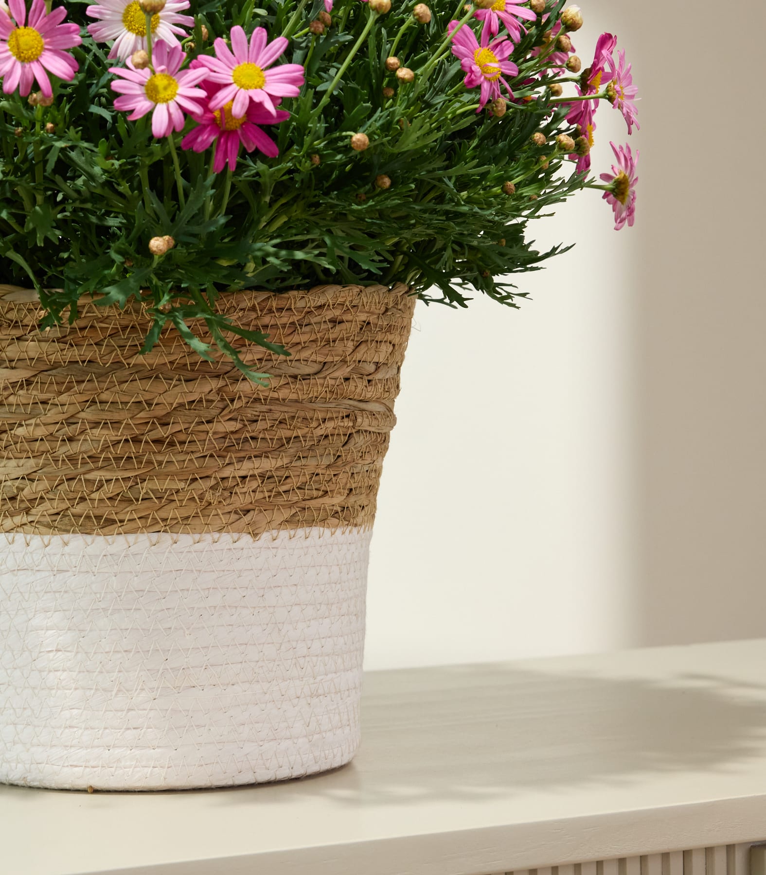 Ein leuchtender Strauß rosa und gelber, gänseblümchenartiger Blumen in einem geflochtenen Korb mit einem weiß-beigen Muster vor einem schlichten weißen Hintergrund.