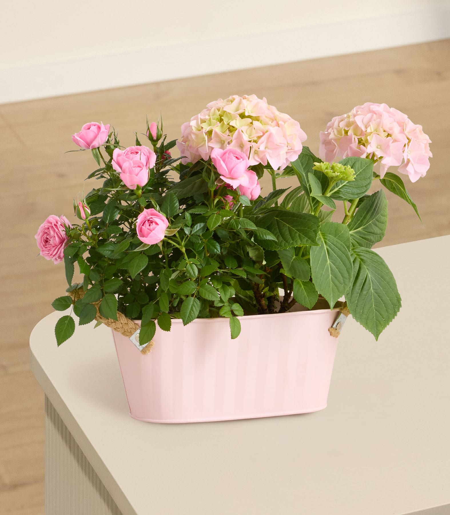 Ein farbenfroher Strauß rosa Rosen und Hortensien in einem pastellrosa Pflanzgefäß steht auf einer schlichten weißen Oberfläche.