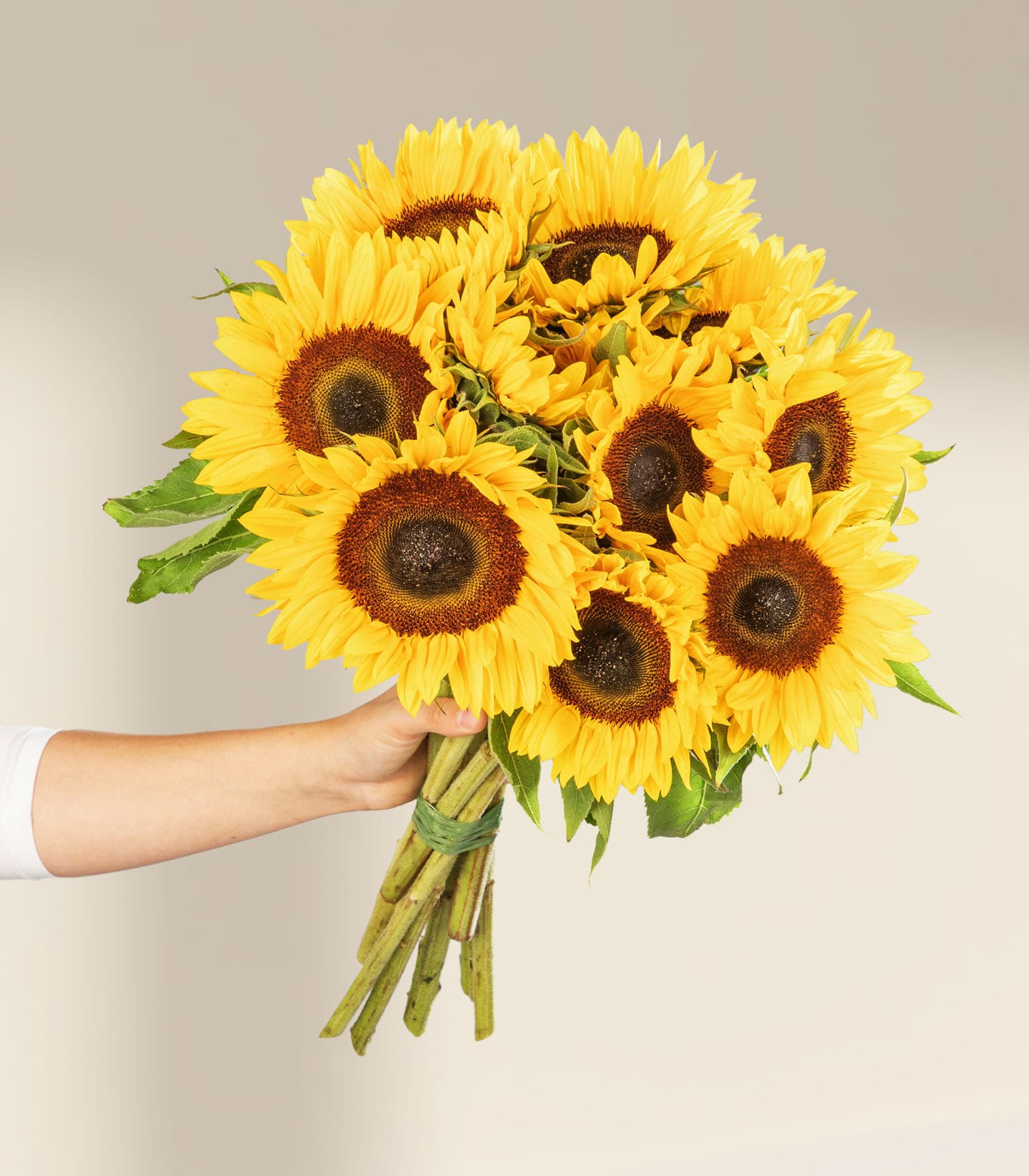 Ein Strauß leuchtend gelber Sonnenblumen steht im Vordergrund vor einem schlichten blauen Hintergrund.