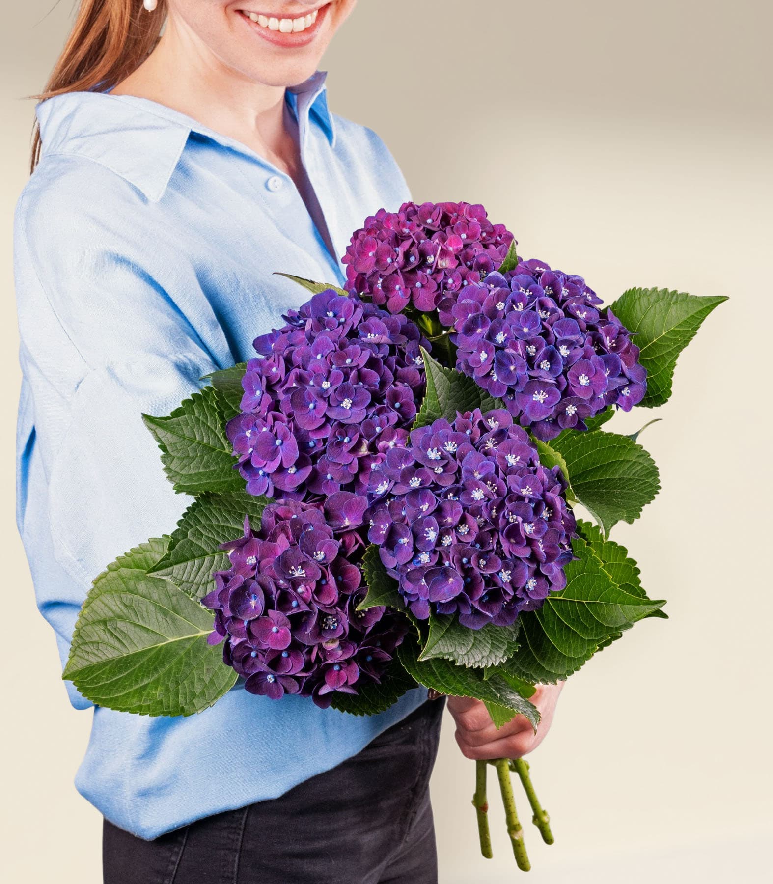 Eine lächelnde Frau in einem blauen Hemd hält einen Strauß leuchtend violetter Hortensienblüten vor einem schlichten weißen Hintergrund.