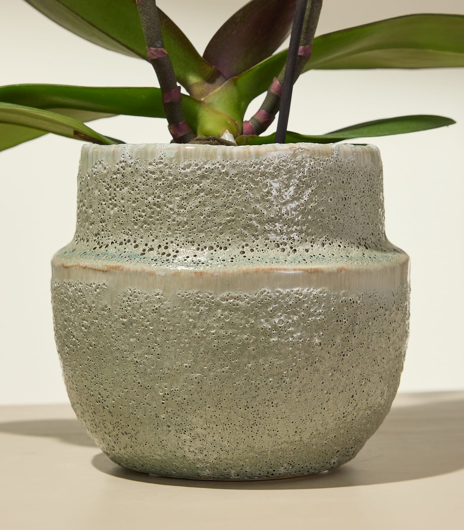 Ein strukturierter grüner Topf mit einer Orchidee steht vor einem schlichten, hellen Hintergrund.