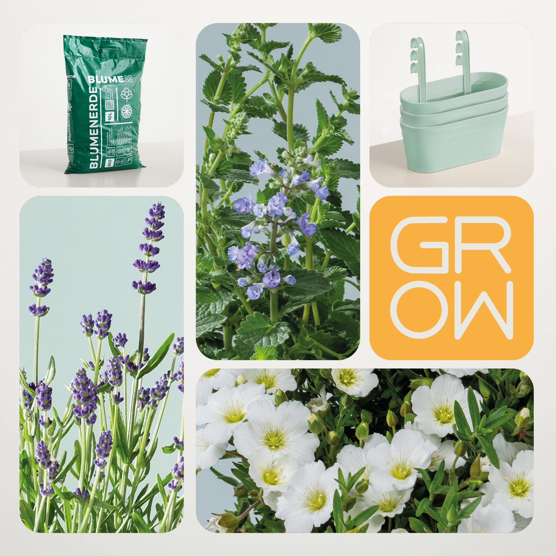 Das Bild ist eine Collage mit verschiedenen Gartenartikeln, darunter eine Tasche mit Gartenbedarf, eine Nahaufnahme von lila Blumen, ein Schild mit dem Wort „GROW“ und Bilder von weißen Blüten und grünem Laub.