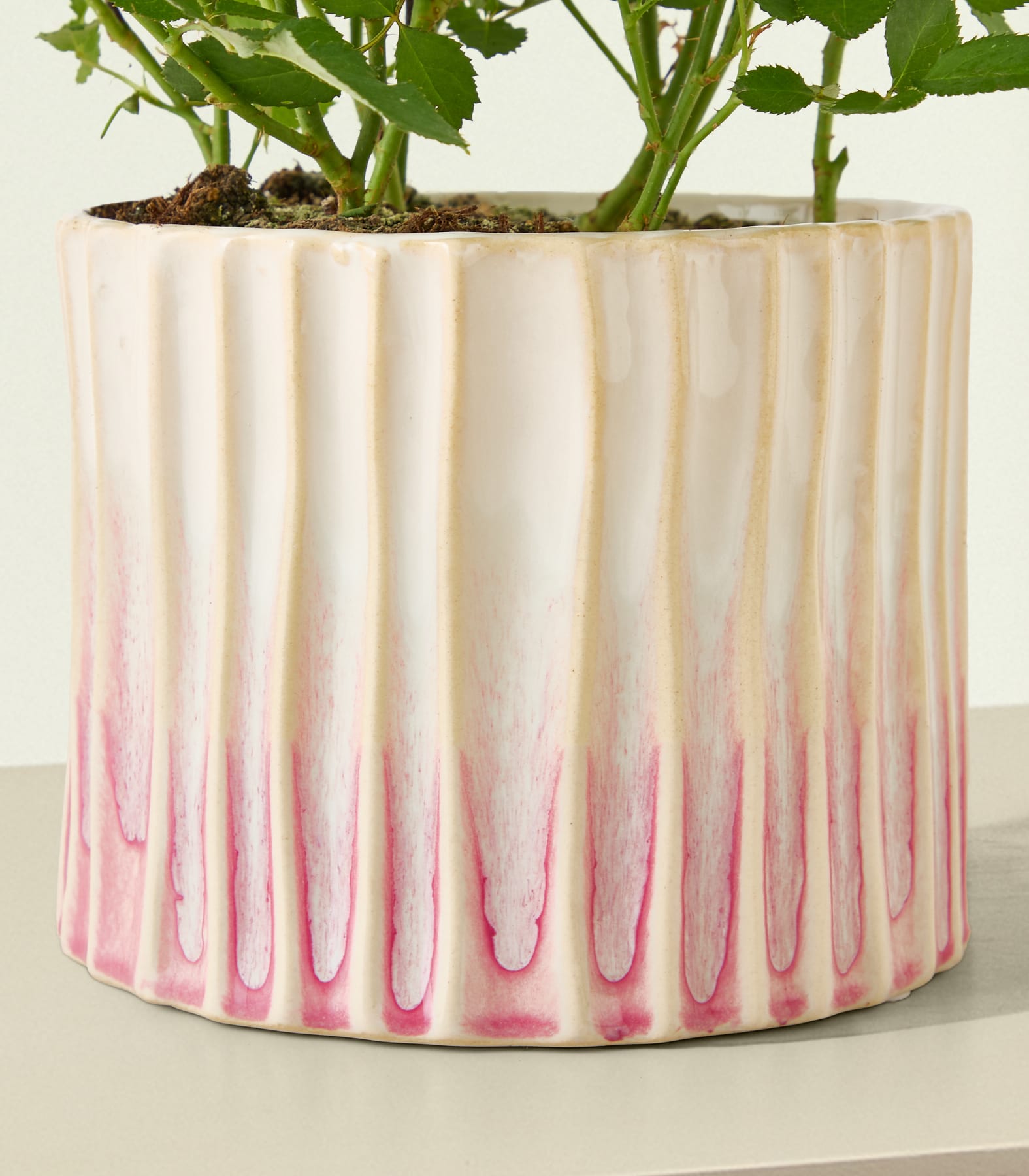 Ein Strauß zartrosa Rosen steht in einer dekorativen weiß-rosa gestreiften Vase vor einem hellblauen Hintergrund.