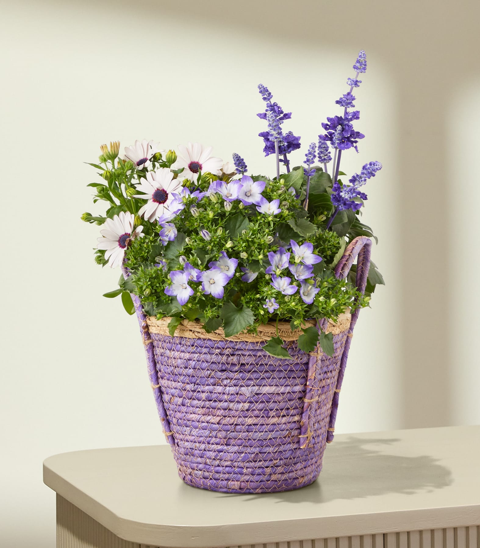 Ein geflochtener lila Korb, gefüllt mit einem farbenfrohen Arrangement aus weißen Gänseblümchen und lila glockenförmigen Blumen vor einem schlichten weißen Hintergrund.