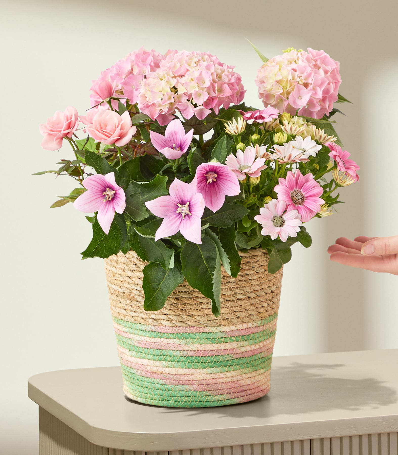 Auf einem Tisch steht ein geflochtener Topf, gefüllt mit rosa und weißen Blumen; von rechts greift eine Hand ins Bild. (Beschreibungstext KI-generiert)