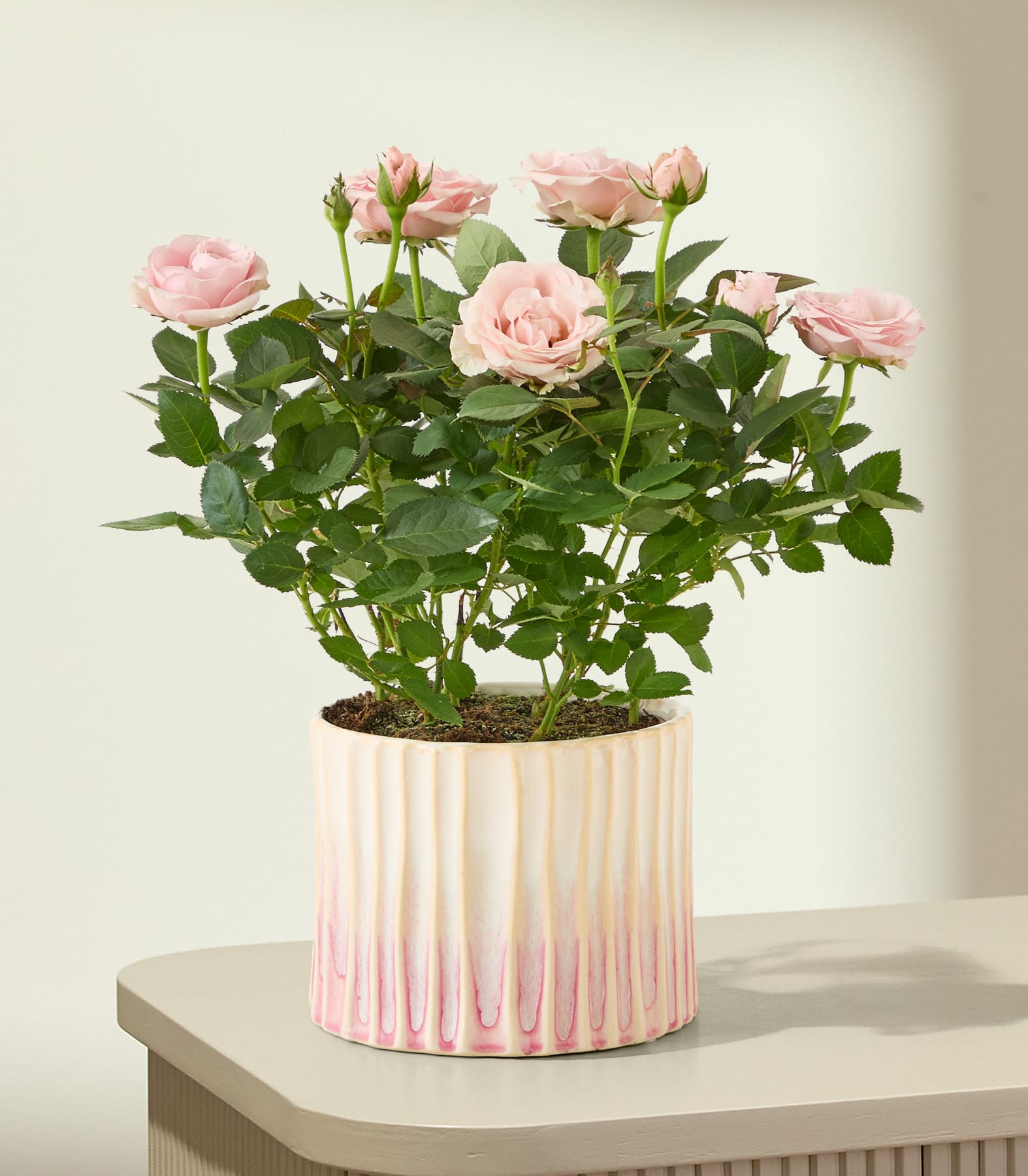 Vor einem hellblauen Hintergrund wird ein Strauß zartrosa Rosen in den Händen gehalten.