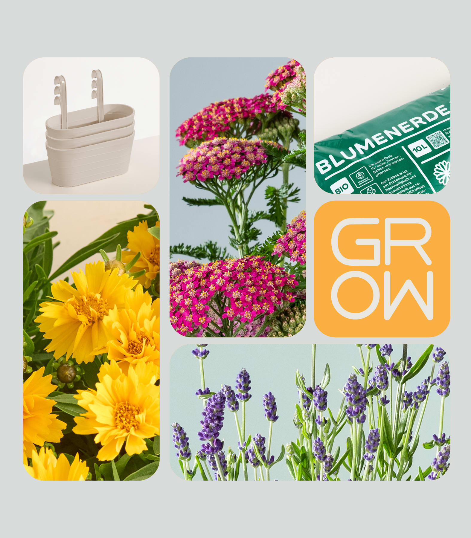 Eine Collage zeigt im Vordergrund einen beigen Pflanzkübel, im Hintergrund leuchtend pinkfarbene Schafgarbe, gelbe Blüten und lila Lavendel, daneben einen Sack Blumenerde und das Wort „GROW“.