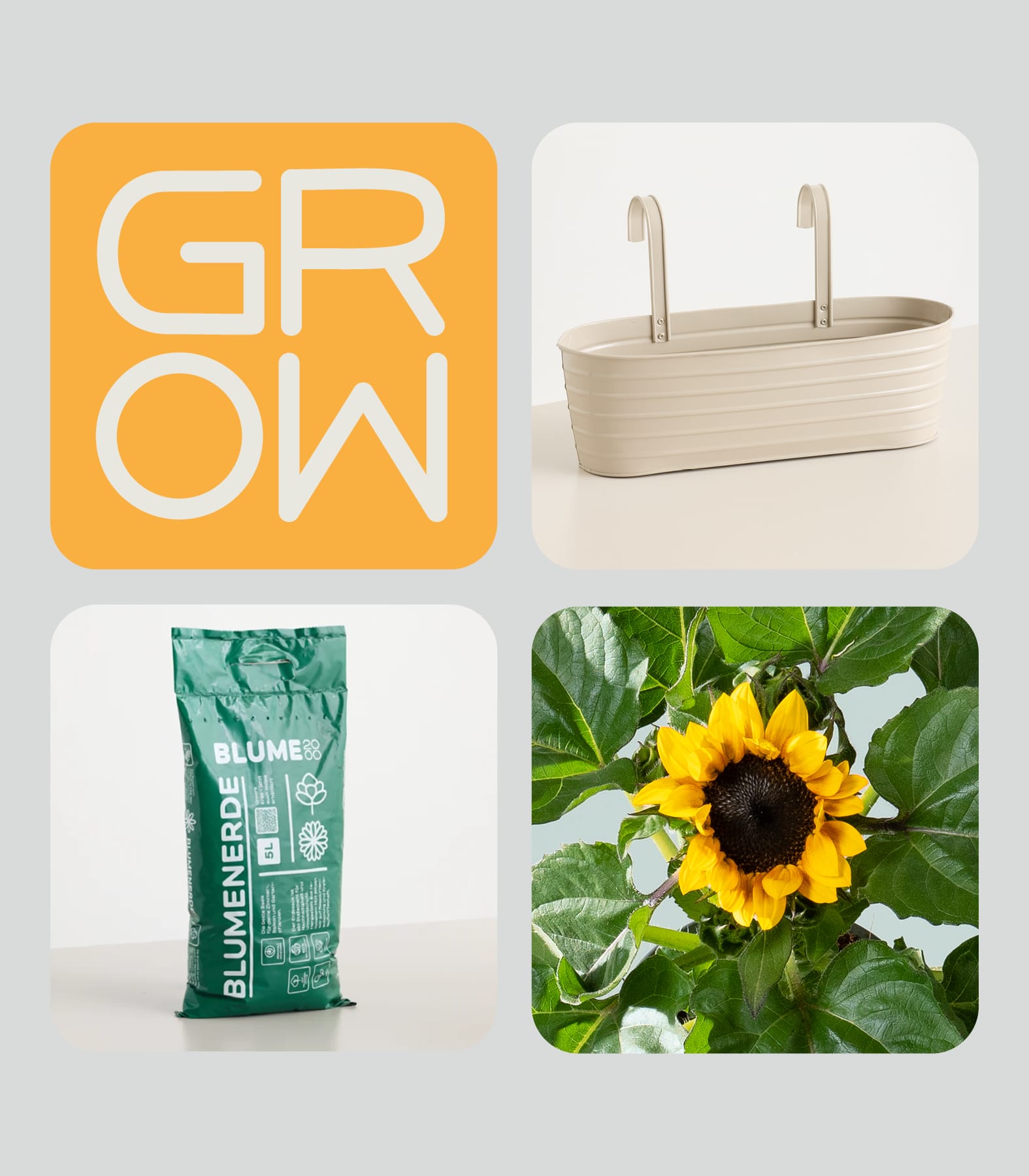 Eine leuchtende Sonnenblume in üppigem Grün, daneben ein Sack Blumenerde und ein Stapel Einwegbecher – all das deutet auf ein Garten- oder Pflanzthema hin.