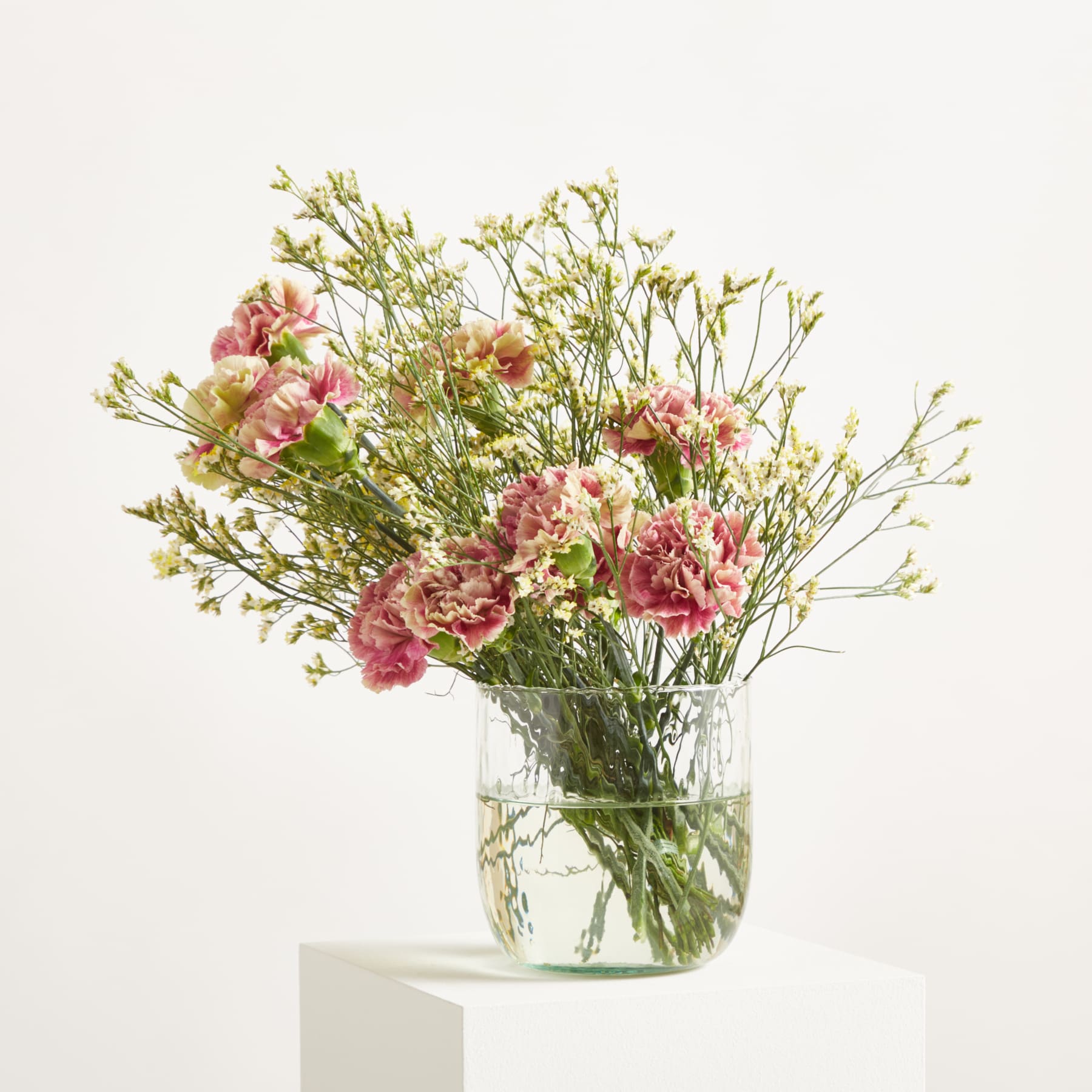 Ein Strauß rosa und grüner Nelken mit zarten weißen Füllblumen steht in einer durchsichtigen Glasvase auf einem weißen Sockel vor einem schlichten weißen Hintergrund.