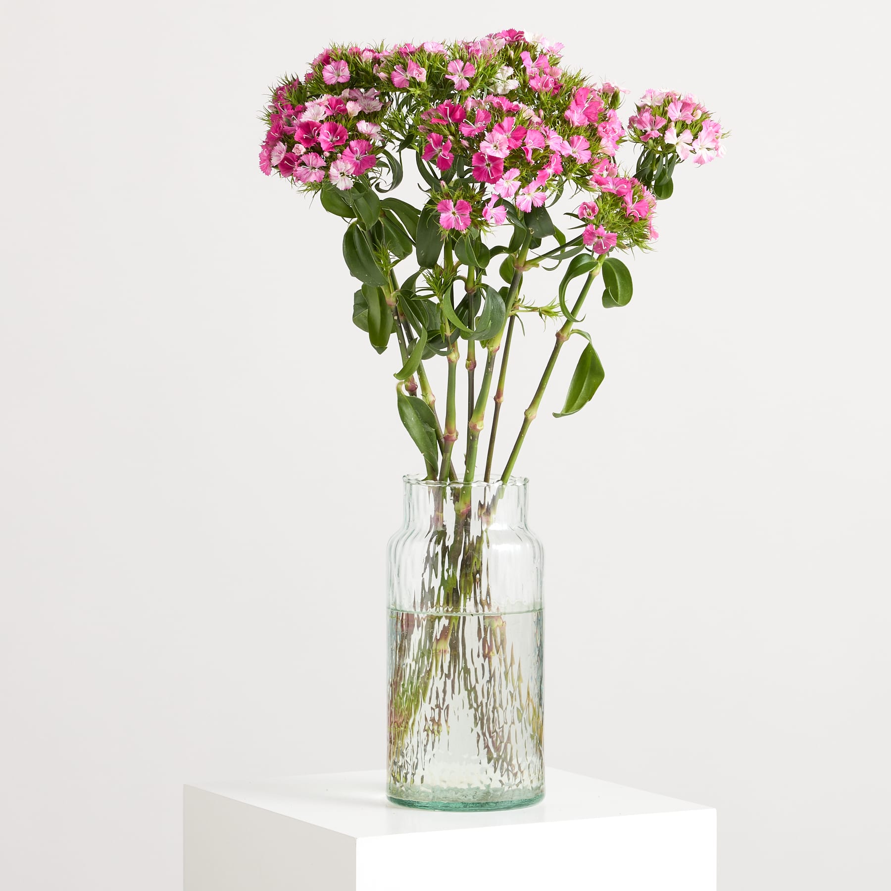 Ein Strauß rosafarbener Blumen mit grünen Stielen steht in einer durchsichtigen Glasvase auf einem weißen Sockel vor einem schlichten weißen Hintergrund.