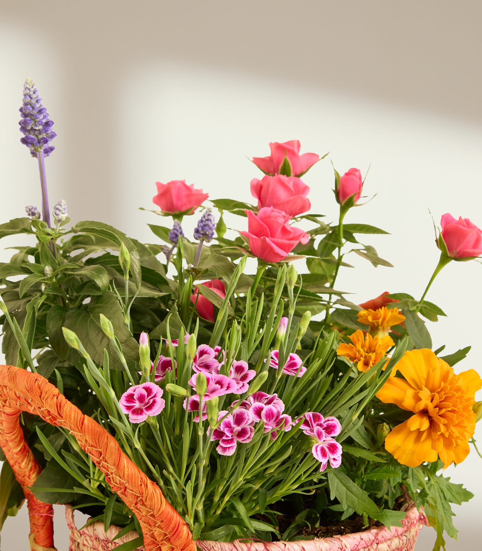 Ein geflochtener Korb ist prall gefüllt mit leuchtend pinkfarbenen Rosen, orangefarbenen Ringelblumen und zarten lila Nelken vor einem sanften, neutralen Hintergrund.