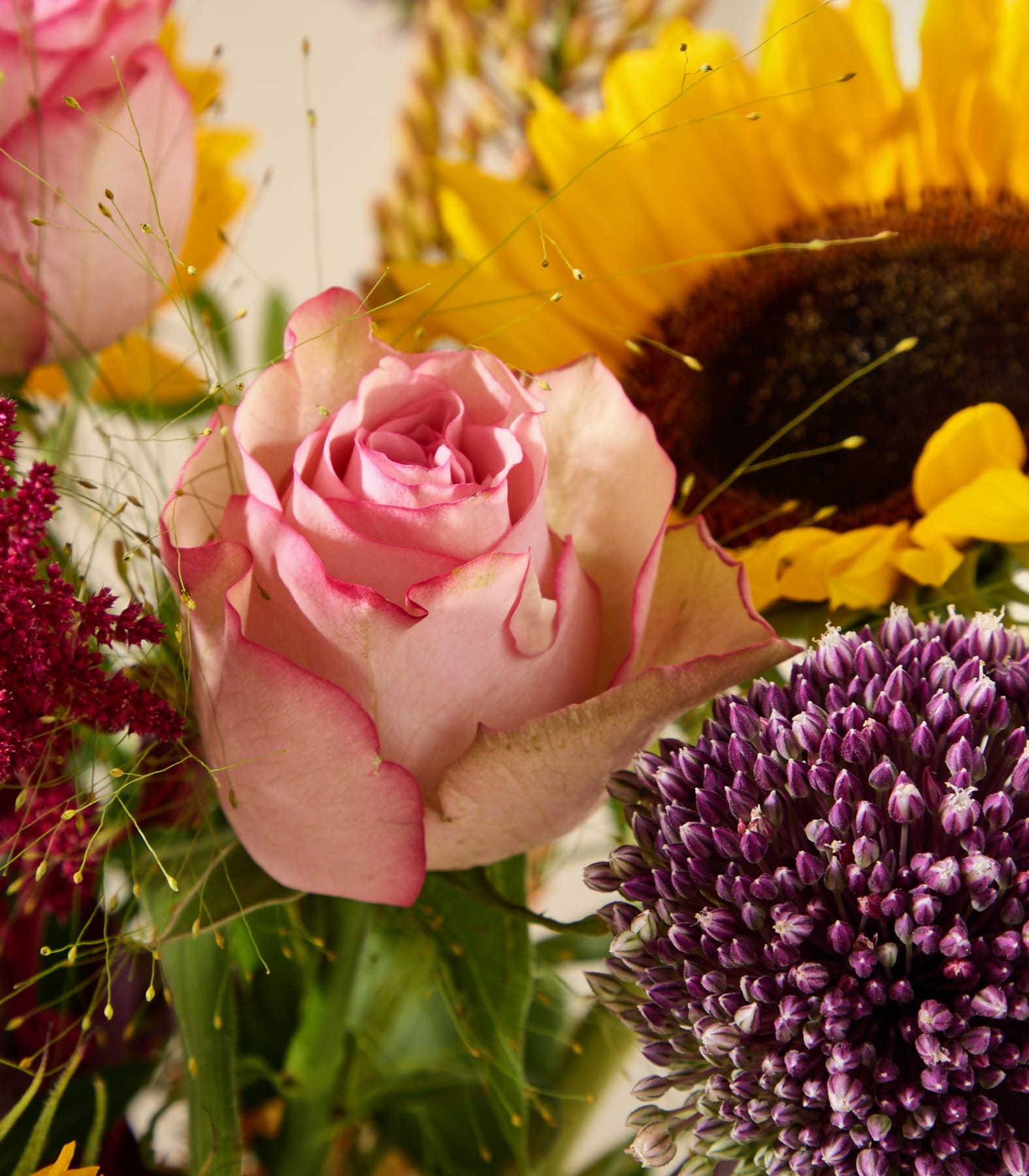 Eine zartrosa Rose mit feinem Gras im Vordergrund hebt sich von einem lebendigen Hintergrund aus Sonnenblumen und violettem Zierlauch ab.
