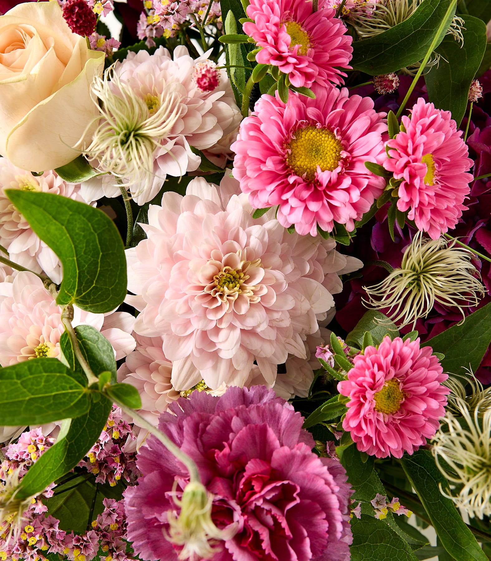 Eine Nahaufnahme eines leuchtenden Straußes aus rosa und cremefarbenen Blüten mit üppigen grünen Blättern füllt das Bild. (Beschreibungstext KI-generiert)