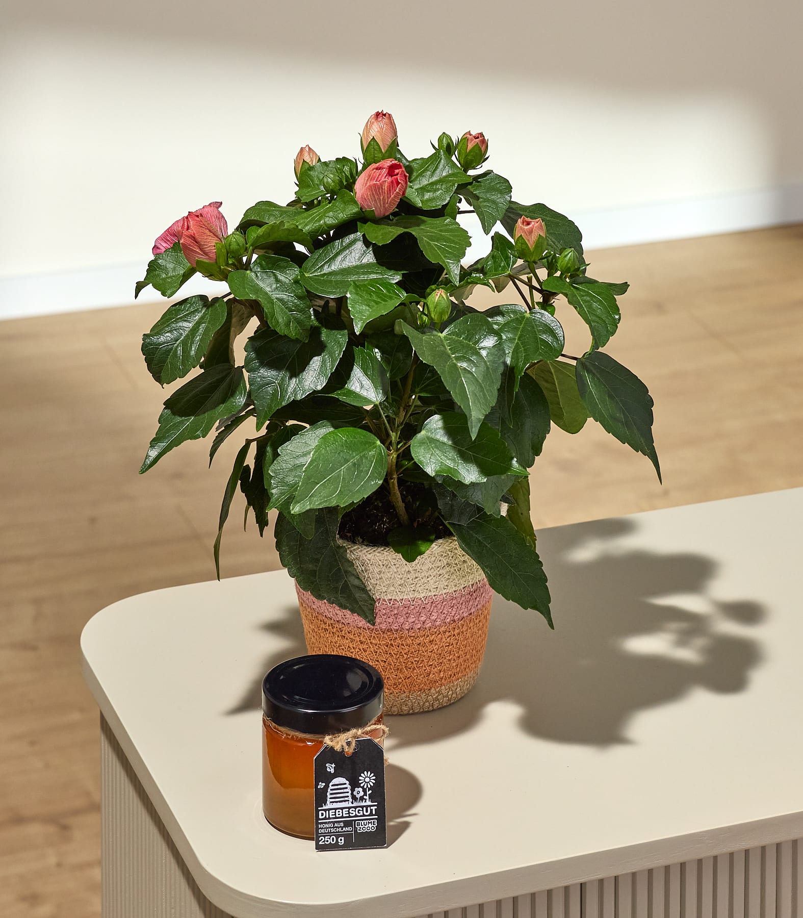 Auf einem hellen Tisch vor verschwommenem Hintergrund steht eine rosa Hibiskuspflanze im Topf mit einem Honigglas.