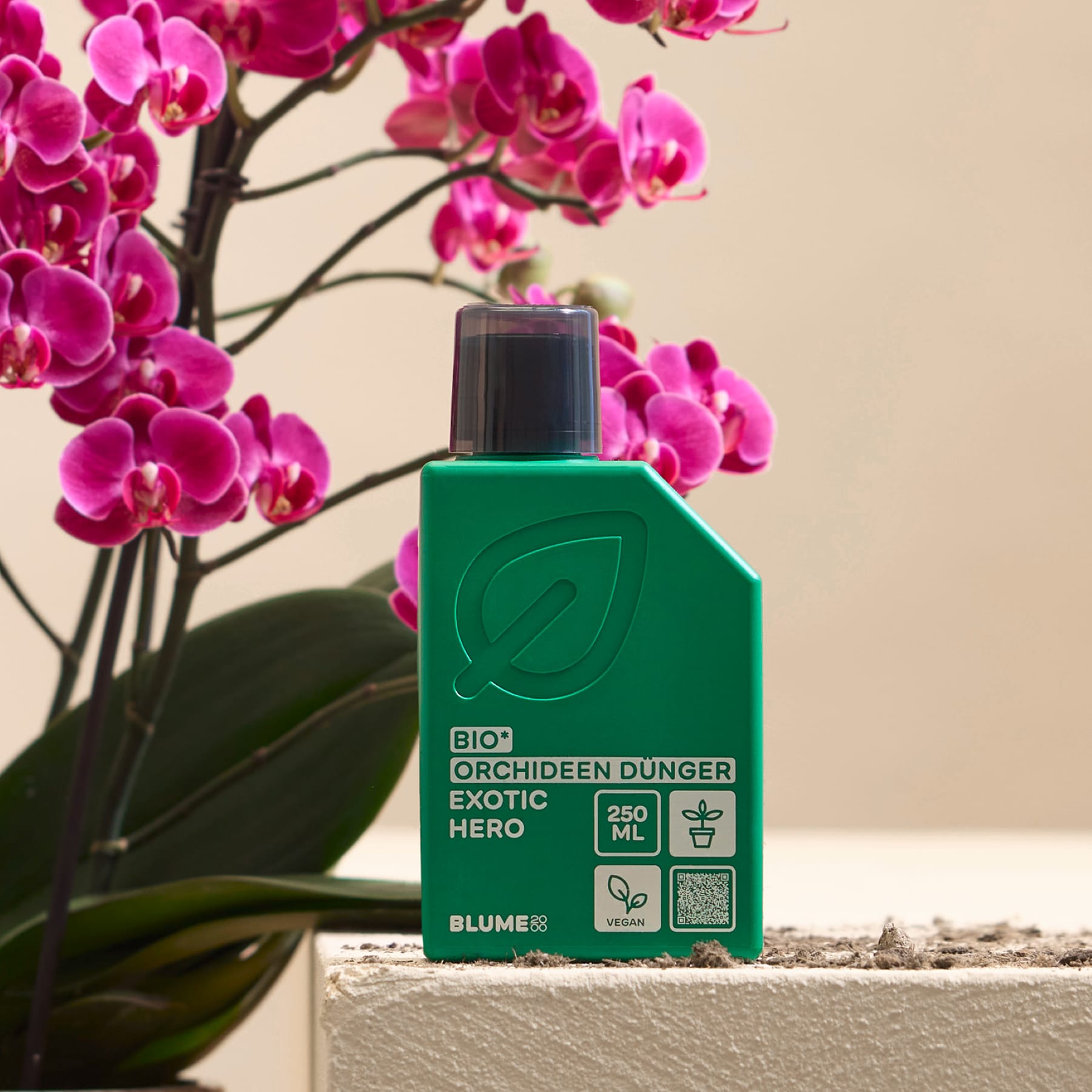 Vor einer blühenden rosa Orchidee steht eine grüne Flasche Orchideendünger vor einem neutralen Hintergrund.