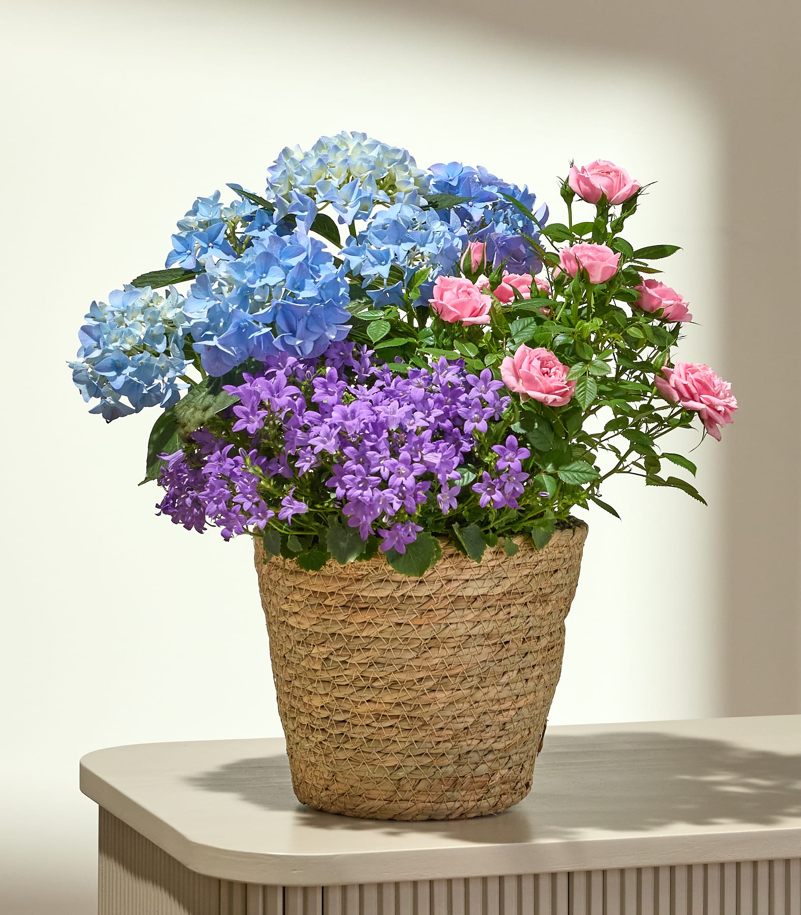 Ein leuchtender Strauß aus blauen Hortensien, lila Phlox und rosa Rosen, arrangiert in einem geflochtenen Korb vor schlichtem Hintergrund.