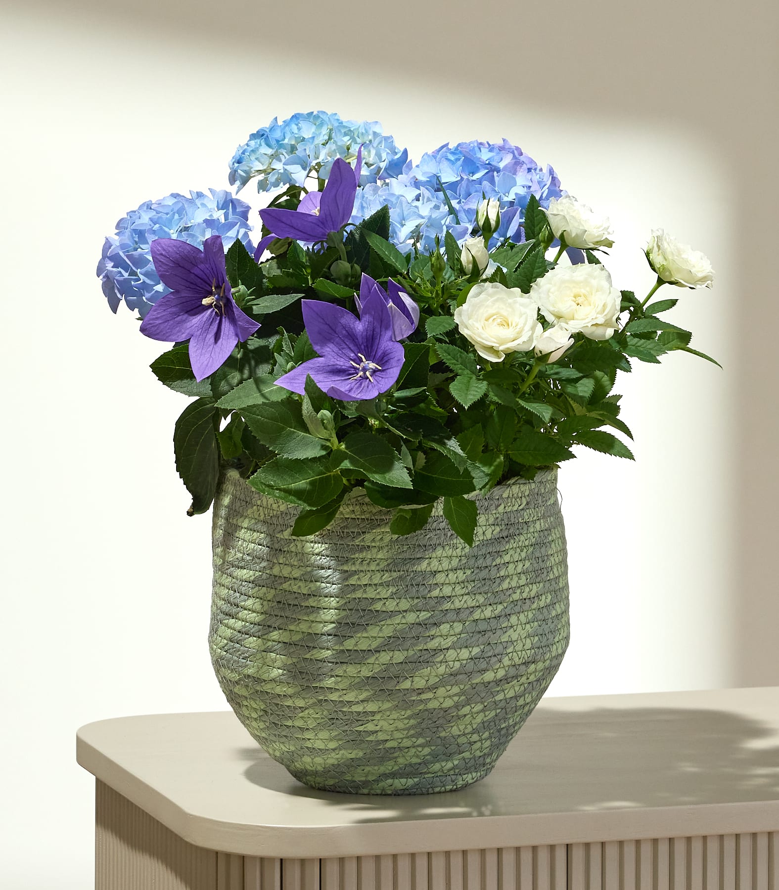 Ein geflochtener grüner Topf, gefüllt mit blauen Hortensien, violetten Glockenblumen und weißen Rosen, steht auf einem hellen Tisch vor einem sanft beleuchteten, neutralen Hintergrund.