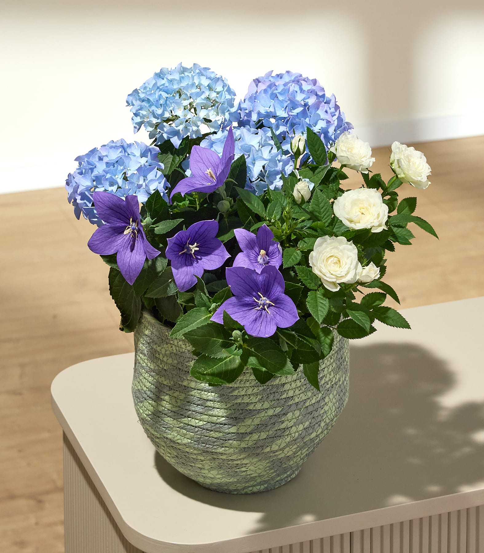 Ein geflochtener grüner Topf ist übervoll mit blauen Hortensien, violetten Glockenblumen und weißen Rosen vor einem sanft beleuchteten, neutralen Hintergrund.