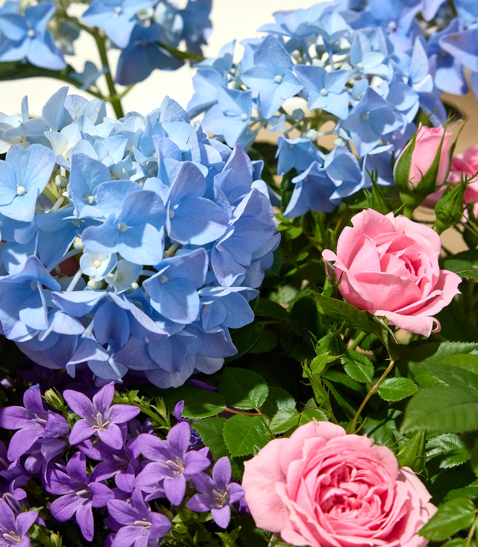 Ein geflochtener Korb, gefüllt mit leuchtend violetten Blumen, steht auf einem schlichten Hintergrund.