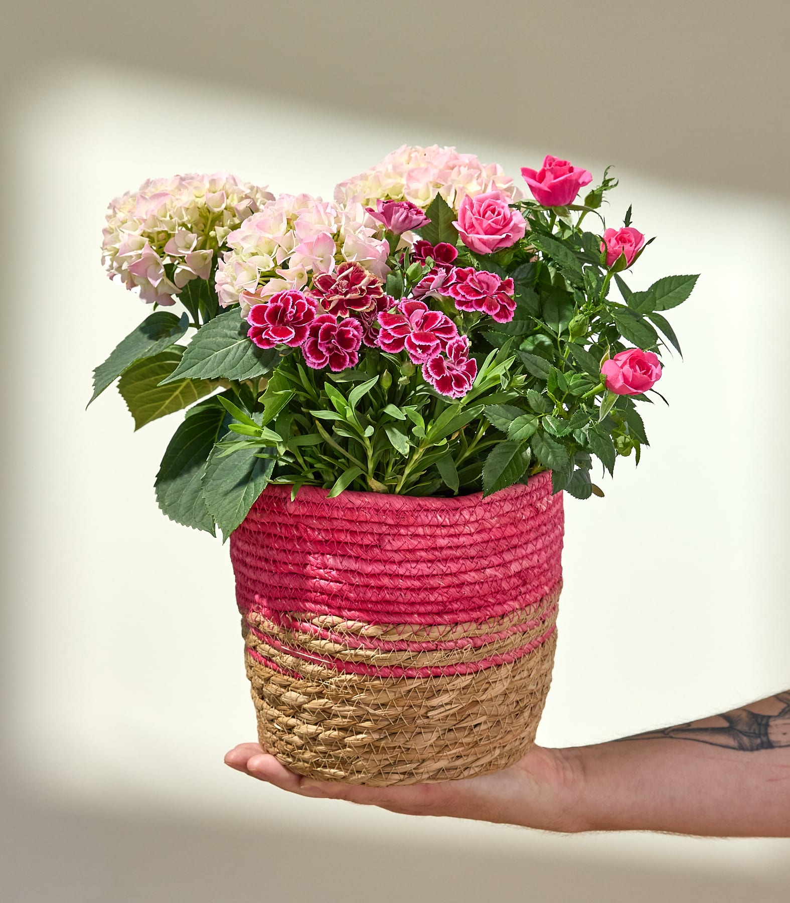 Ein leuchtender Strauß aus rosa Hortensien und Rosen, eingebettet in einen geflochtenen Korb, vor einem schlichten weißen Hintergrund.