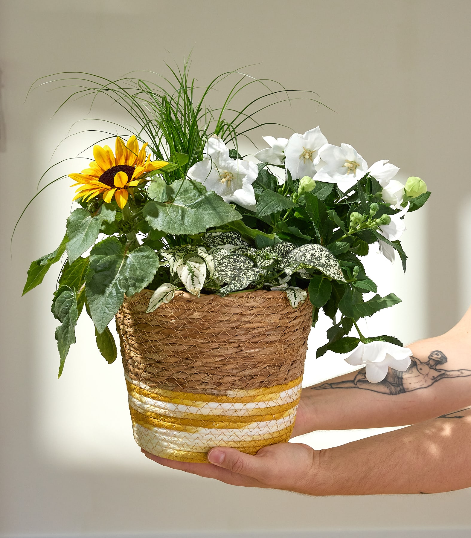 Eine Hand hält einen geflochtenen Topf, gefüllt mit einer Sonnenblume, weißen Blüten und Grünzeug, vor einem sanft beleuchteten, schlichten Hintergrund.