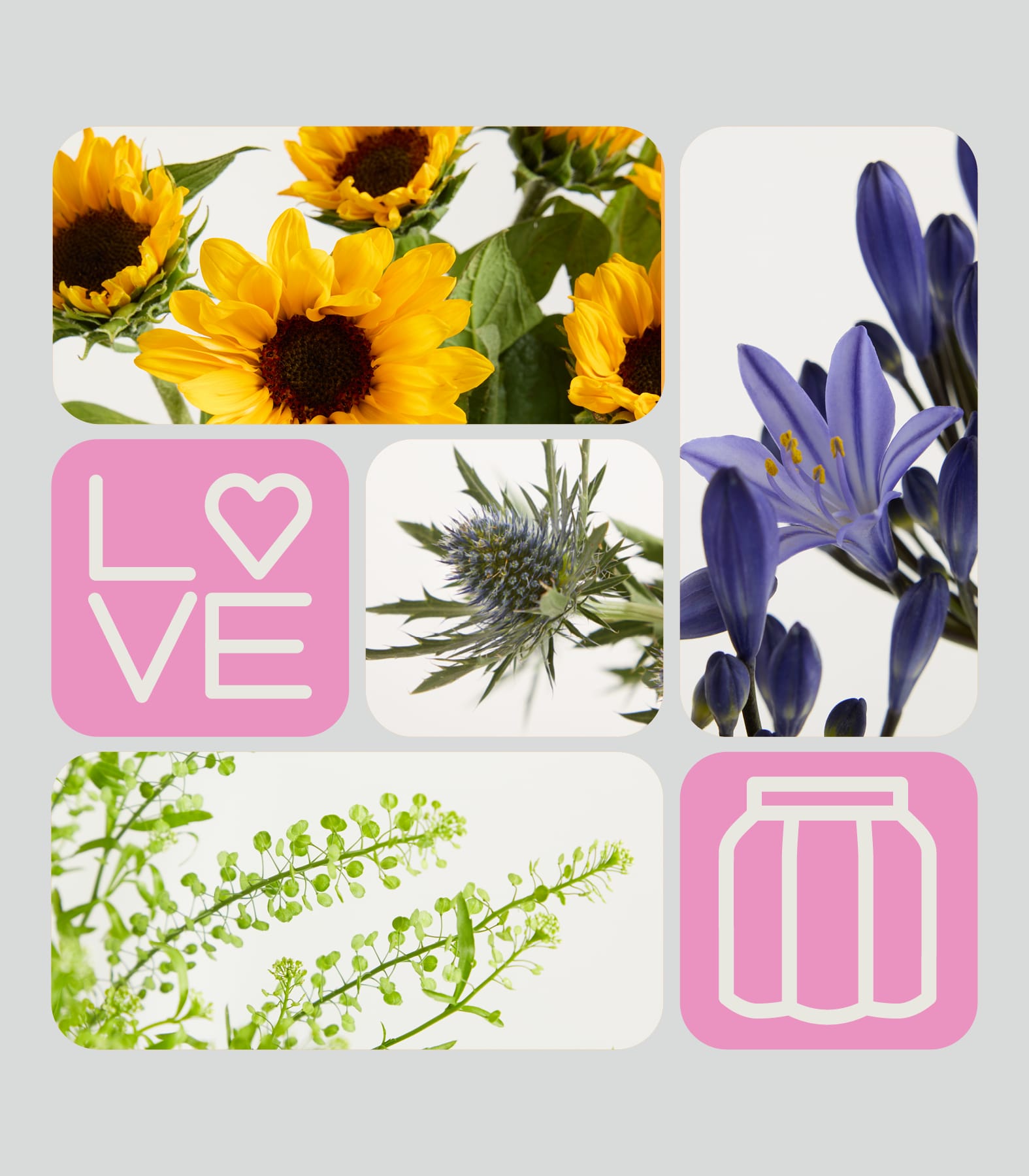 Leuchtende Sonnenblumen füllen die obere linke Ecke, während ein Strauß violetter Blüten die rechte Seite dominiert, mit einem pinkfarbenen „LOVE“-Schriftzug und einer Distel in der Mitte sowie zartem grünem Laub und einem pinkfarbenen Einmachglas-Symbol am unteren Rand.