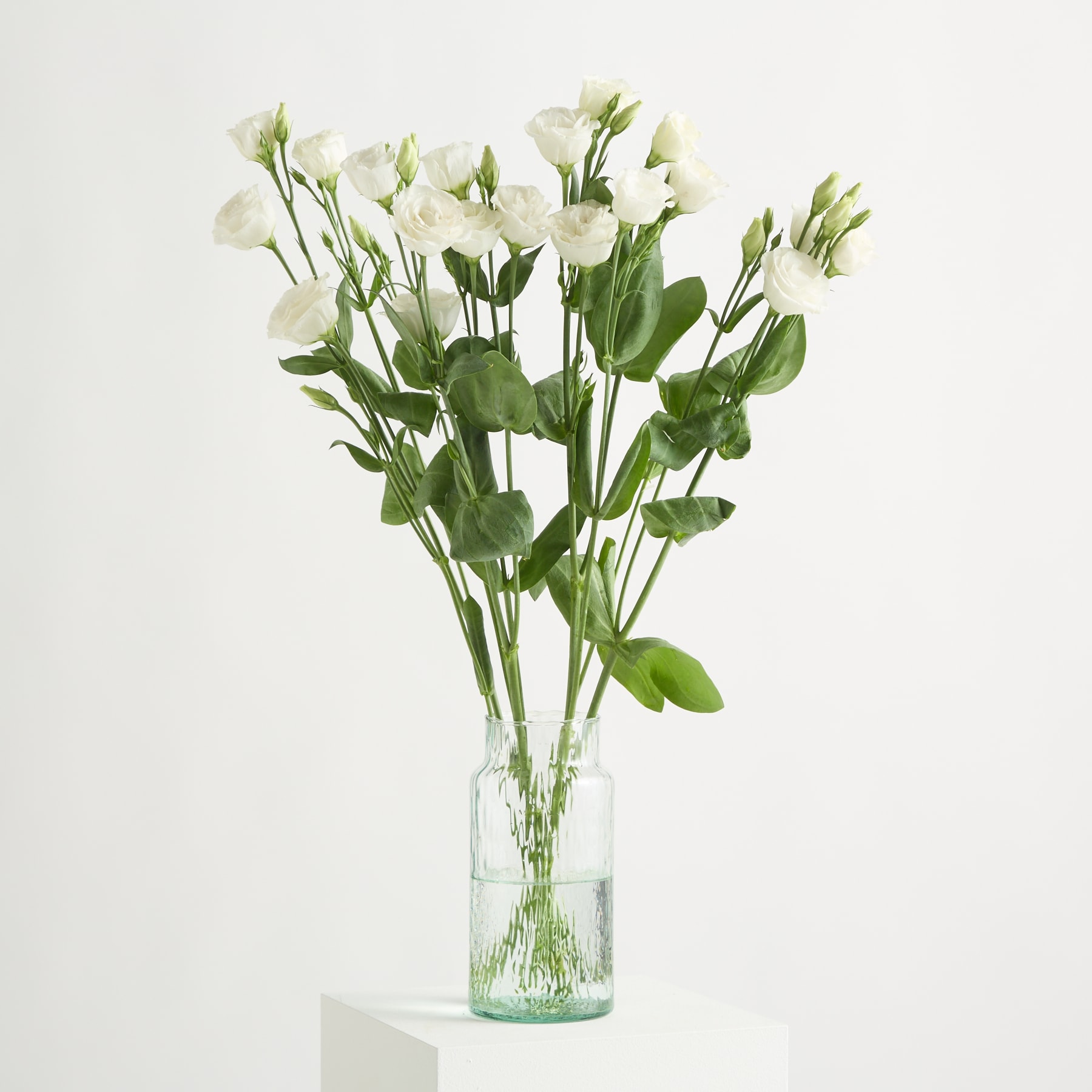Ein Strauß weißer Lisianthusblüten mit grünen Blättern steht in einer durchsichtigen Glasvase auf einer weißen Oberfläche vor weißem Hintergrund.