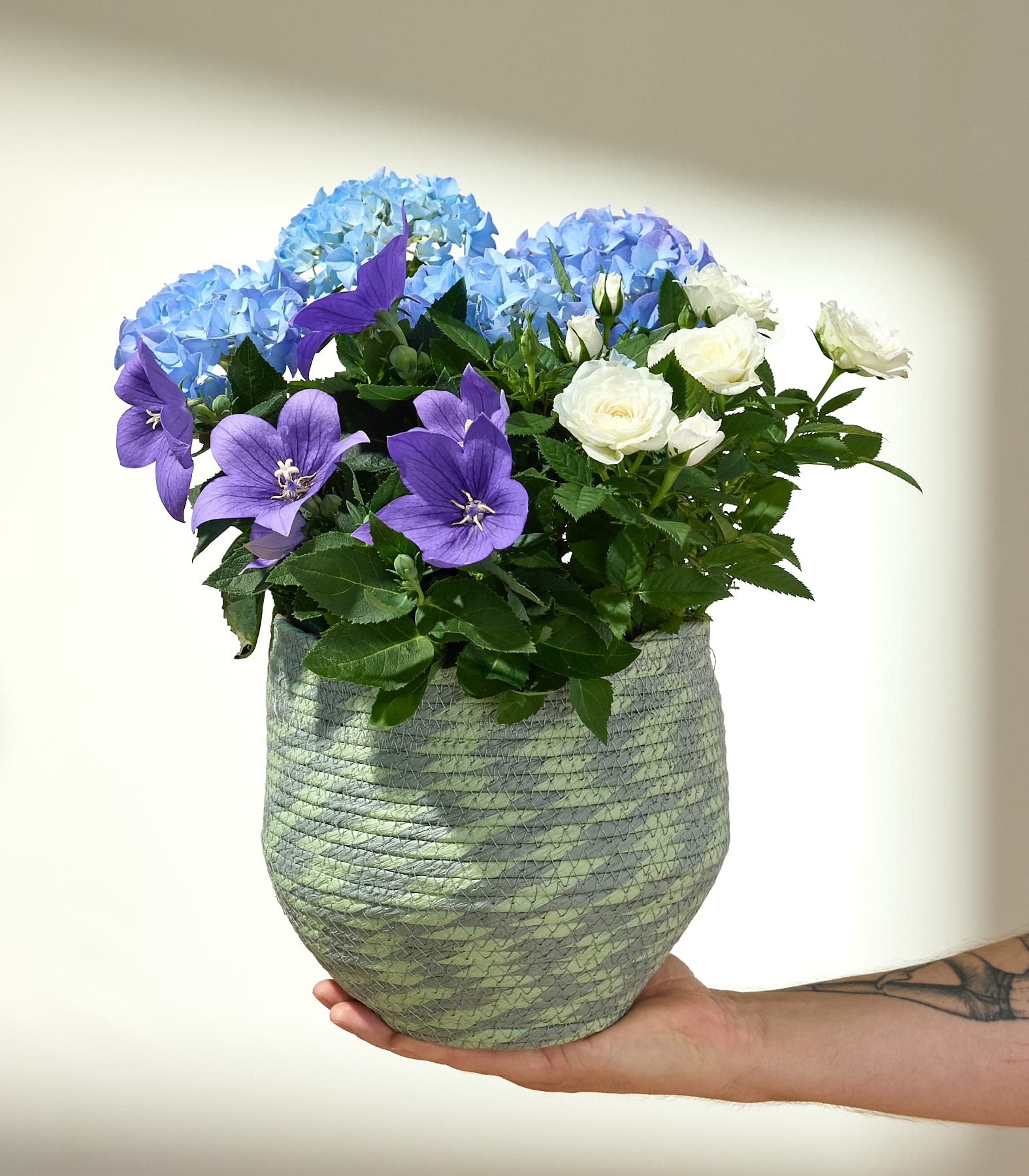 Eine Hand hält einen geflochtenen Topf, gefüllt mit blauen Hortensien, violetten Glockenblumen und weißen Rosen, vor einem sanft beleuchteten, schlichten Hintergrund.