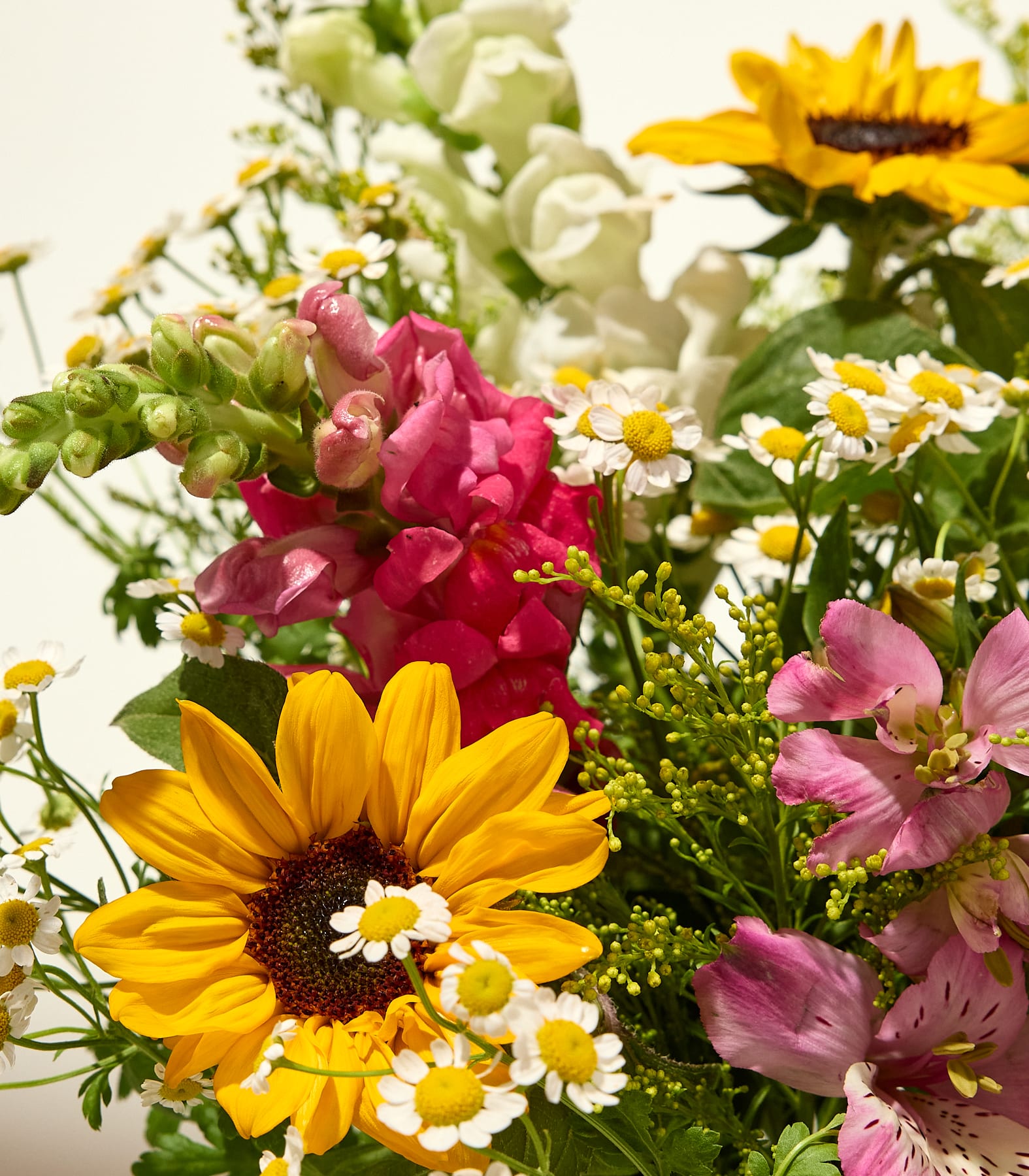 Ein leuchtender Strauß aus Sonnenblumen, rosa Löwenmäulchen und Gänseblümchen füllt den Vordergrund vor einem sanften, hellen Hintergrund.