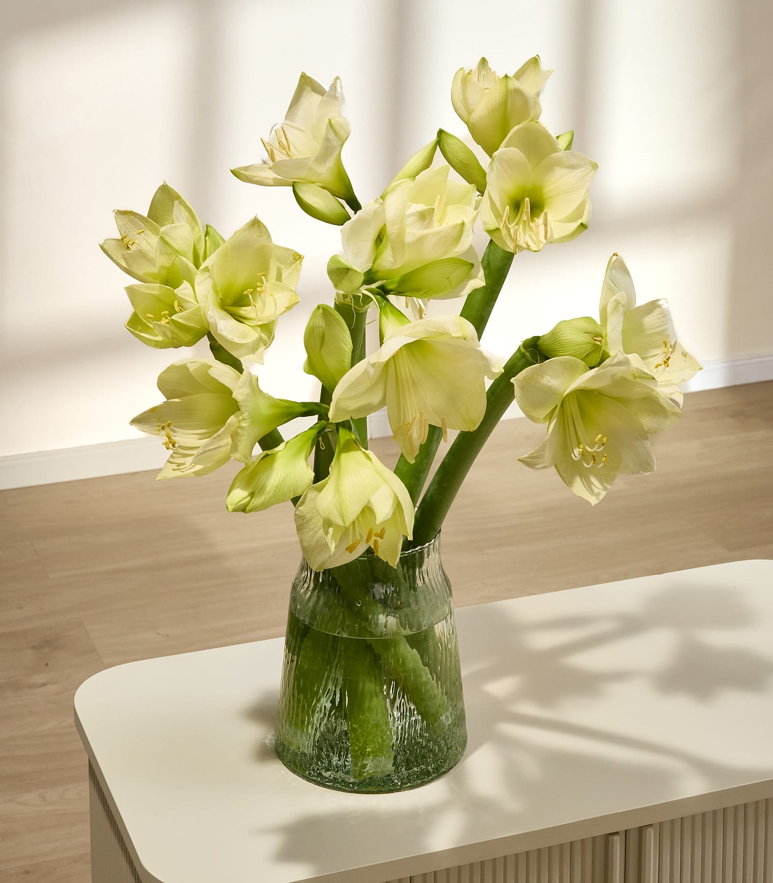Eine Person hält einen großen Strauß wunderschöner weißer und grüner Blumen vor einem schlichten weißen Hintergrund. (Beschreibungstext KI-generiert)