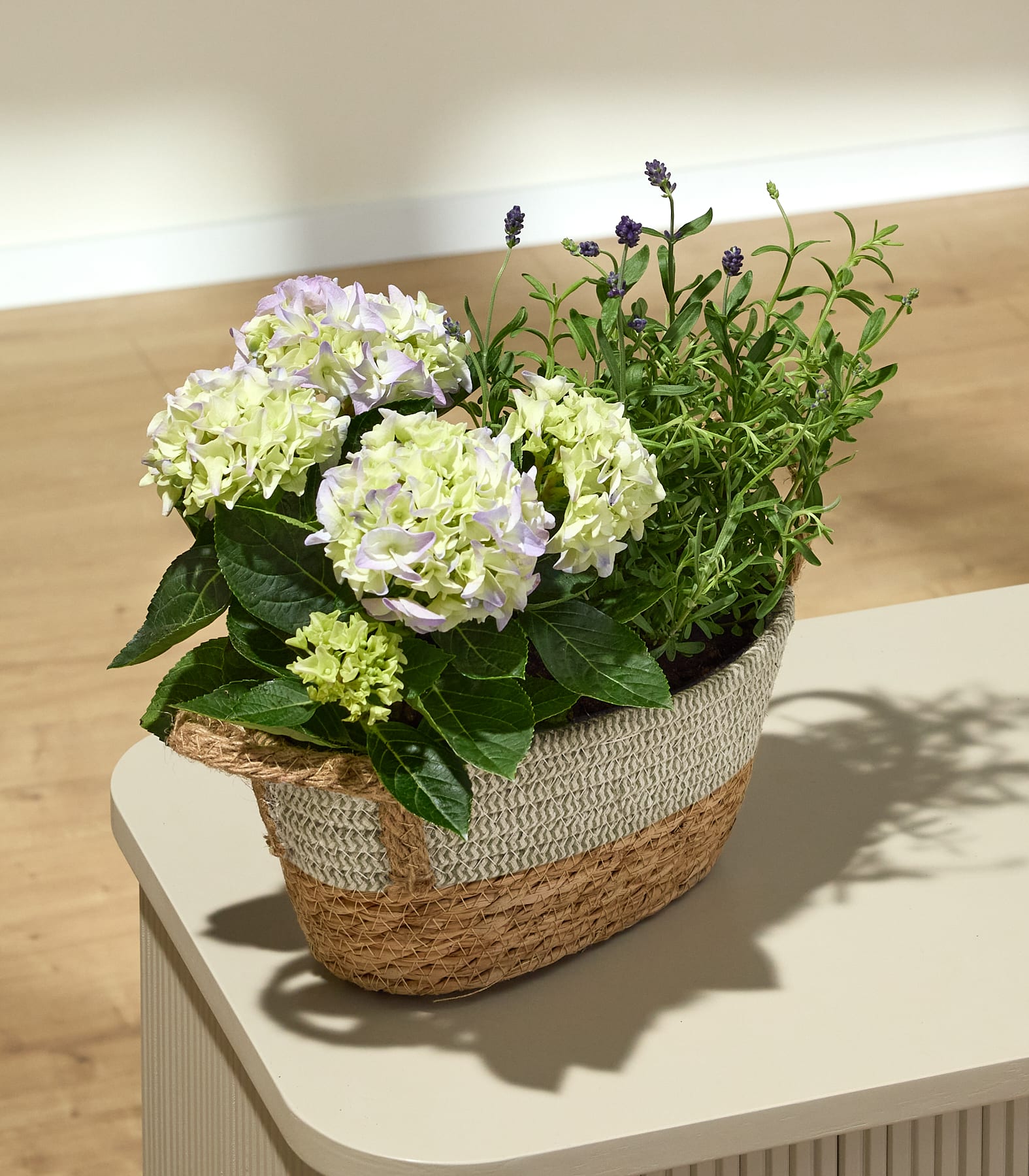 Auf einem hellen Tisch steht ein geflochtener Korb, gefüllt mit hellgrünen Hortensien und Lavendel, im Hintergrund ist eine sanft beleuchtete Wand zu sehen.