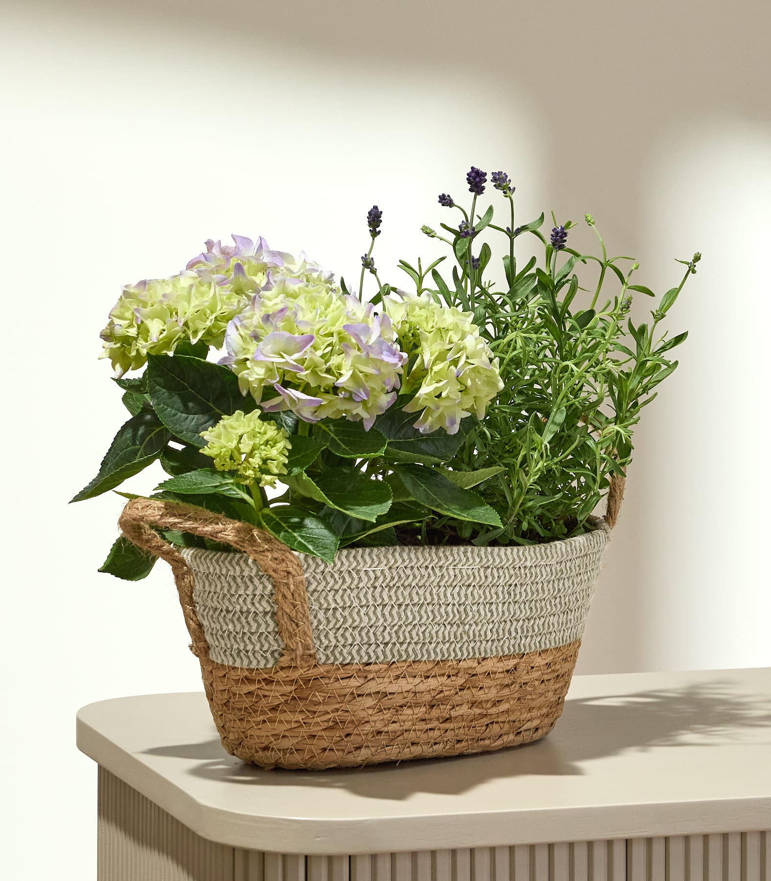 Ein geflochtener Korb, gefüllt mit hellgrünen Hortensien und Lavendel, steht auf einem hellen Tisch vor einem sanft beleuchteten, strukturierten Hintergrund.