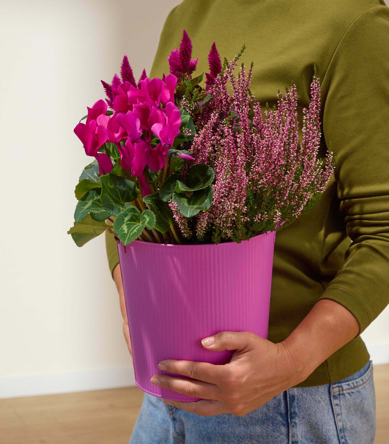 Eine Person in einem grünen Hemd und blauen Jeans hält einen leuchtend pinkfarbenen Topf, der mit hellrosa Alpenveilchen und zartrosa Heidekraut gefüllt ist, vor einem schlichten weißen Hintergrund. (Beschreibungstext KI-generiert)