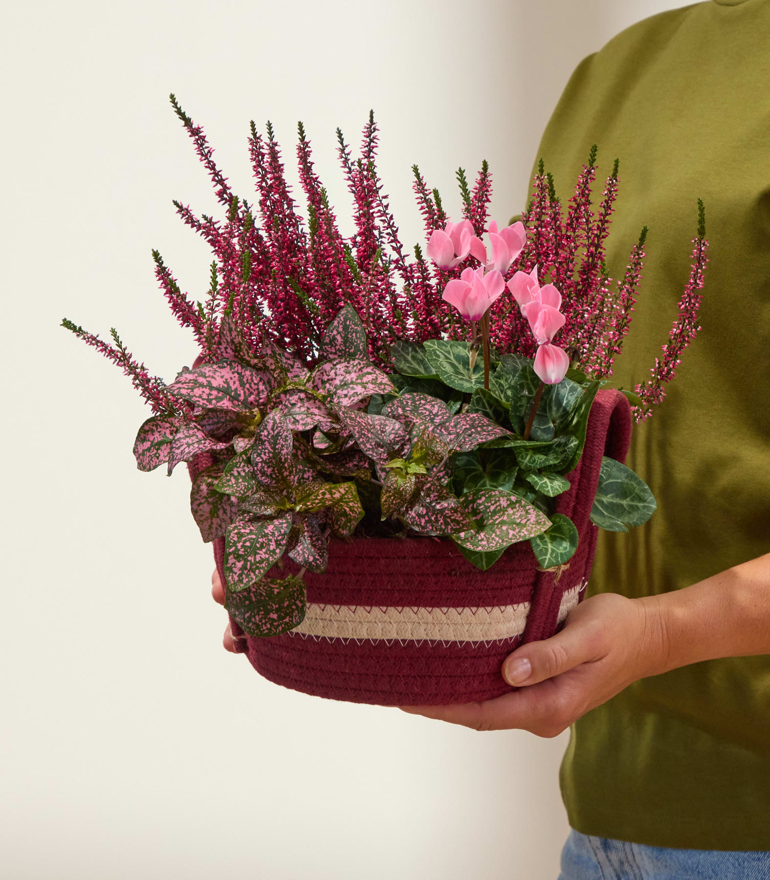 Eine Person hält einen bordeauxroten Korb, gefüllt mit rosa Heidekraut, rosa Alpenveilchen und gefleckten Blattpflanzen, vor einem schlichten Hintergrund. (Beschreibungstext KI-generiert)
