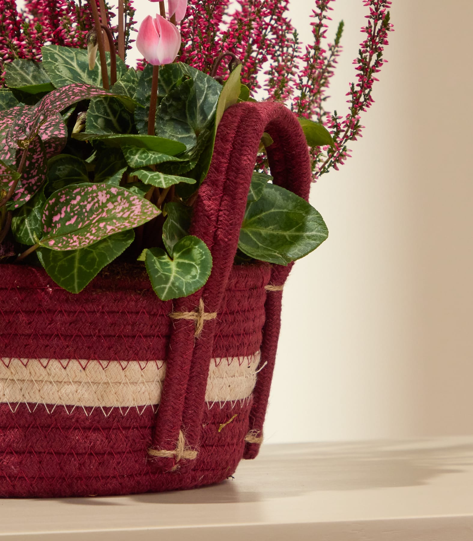 Ein bordeauxroter, geflochtener Korb, gefüllt mit rosa Alpenveilchen und Heidekraut, steht auf einer hellen Fläche vor einem schlichten Hintergrund. (Beschreibungstext KI-generiert)