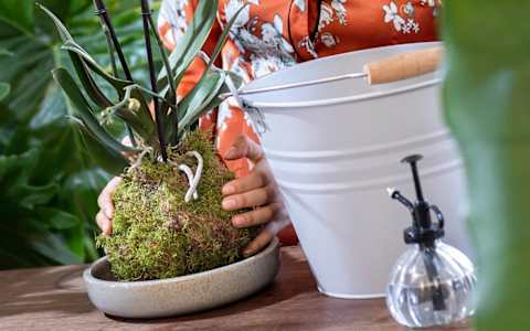 Auf einer Holzoberfläche steht eine mit Moos und einer Topfpflanze gefüllte Keramikschale, im Hintergrund ein weißer Metallbehälter und eine Glasflasche.