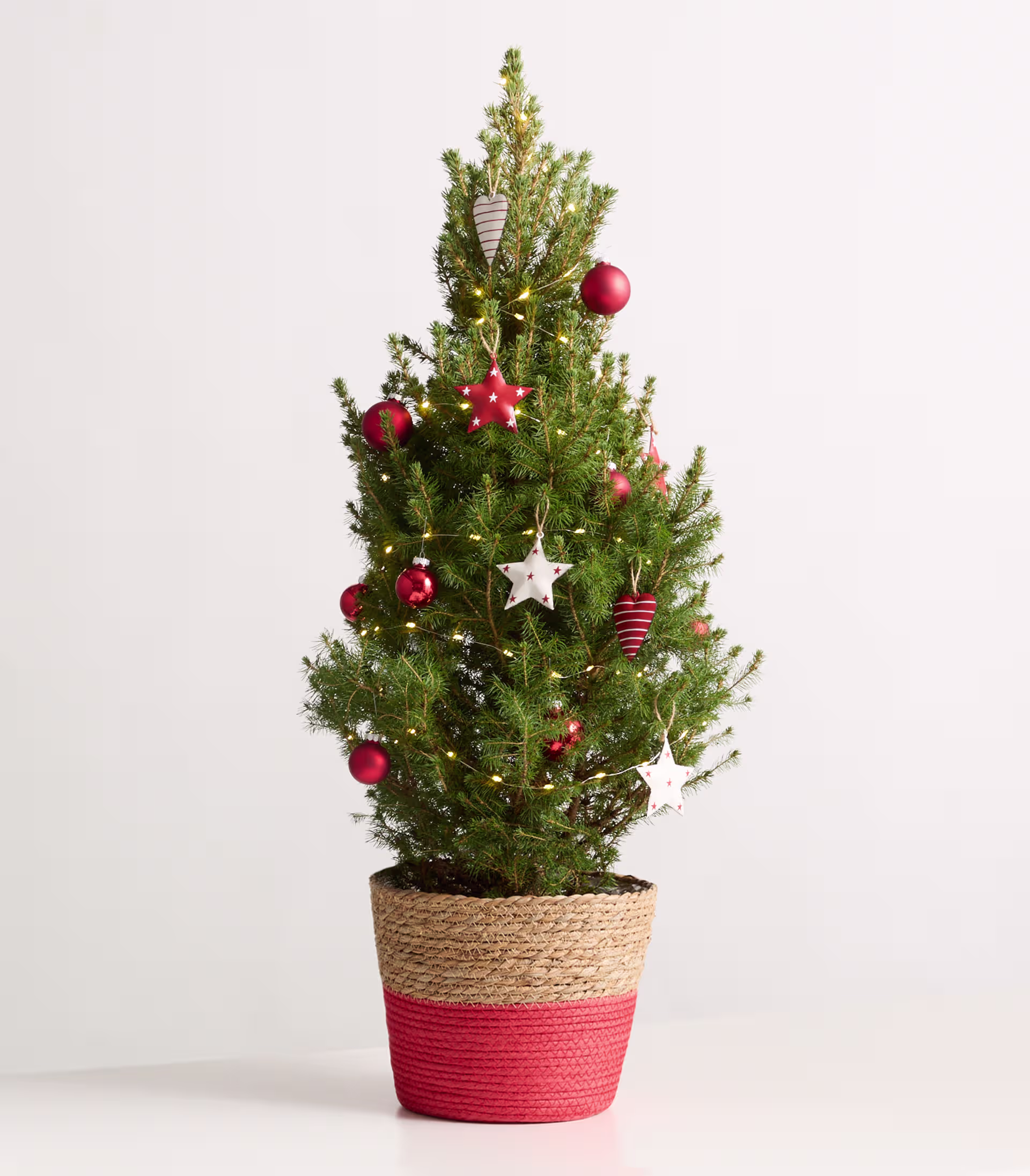 Ein kleiner, geschmückter Weihnachtsbaum steht in einem rot-beigen Topf, geschmückt mit roten Ornamenten, Sternen und anderen festlichen Dekorationen vor einem schlichten weißen Hintergrund. (Beschreibungstext KI-generiert)