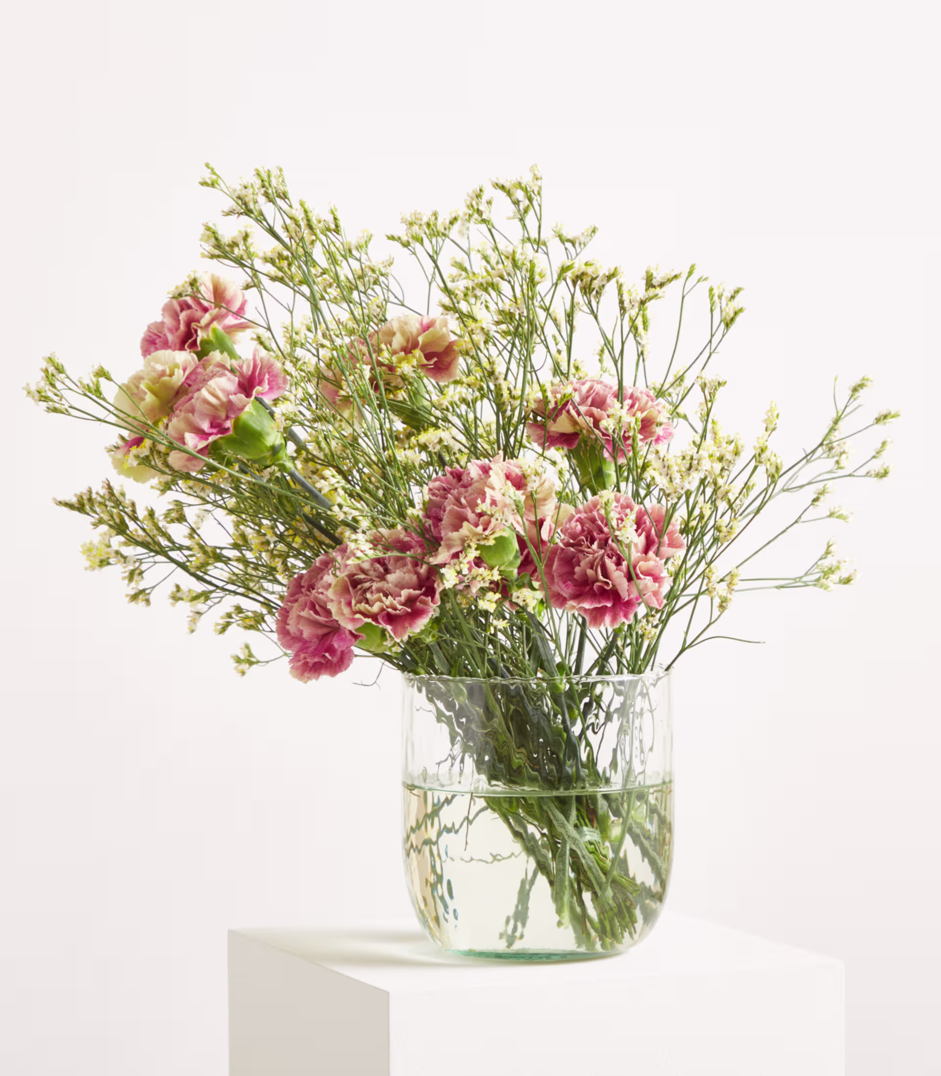 Ein Strauß rosa und grüner Nelken mit zarten weißen Füllblumen steht in einer durchsichtigen Glasvase auf einem weißen Sockel vor einem schlichten weißen Hintergrund. (Beschreibungstext KI-generiert)