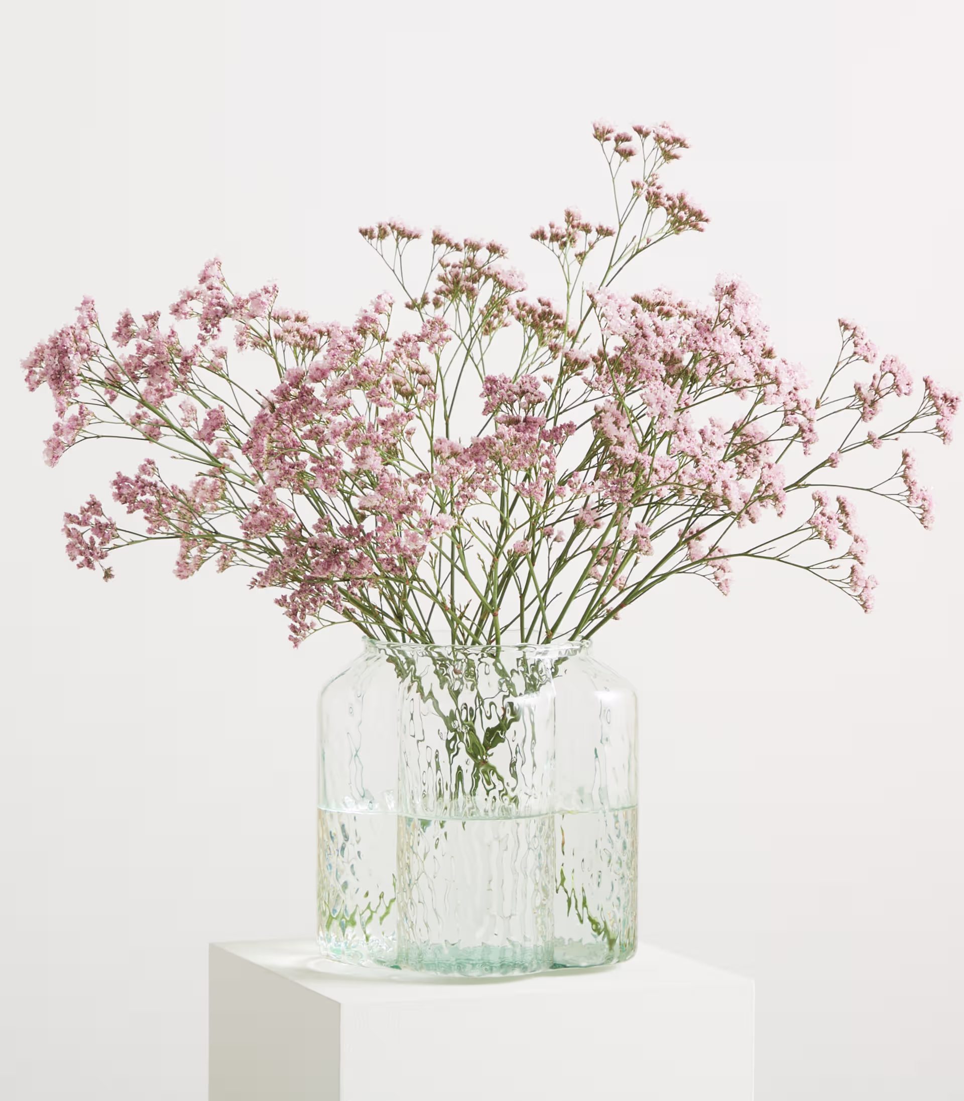 Eine durchsichtige Glasvase, gefüllt mit Wasser, enthält einen zarten Strauß rosa Schleierkrautblüten vor einem schlichten weißen Hintergrund. (Beschreibungstext KI-generiert)