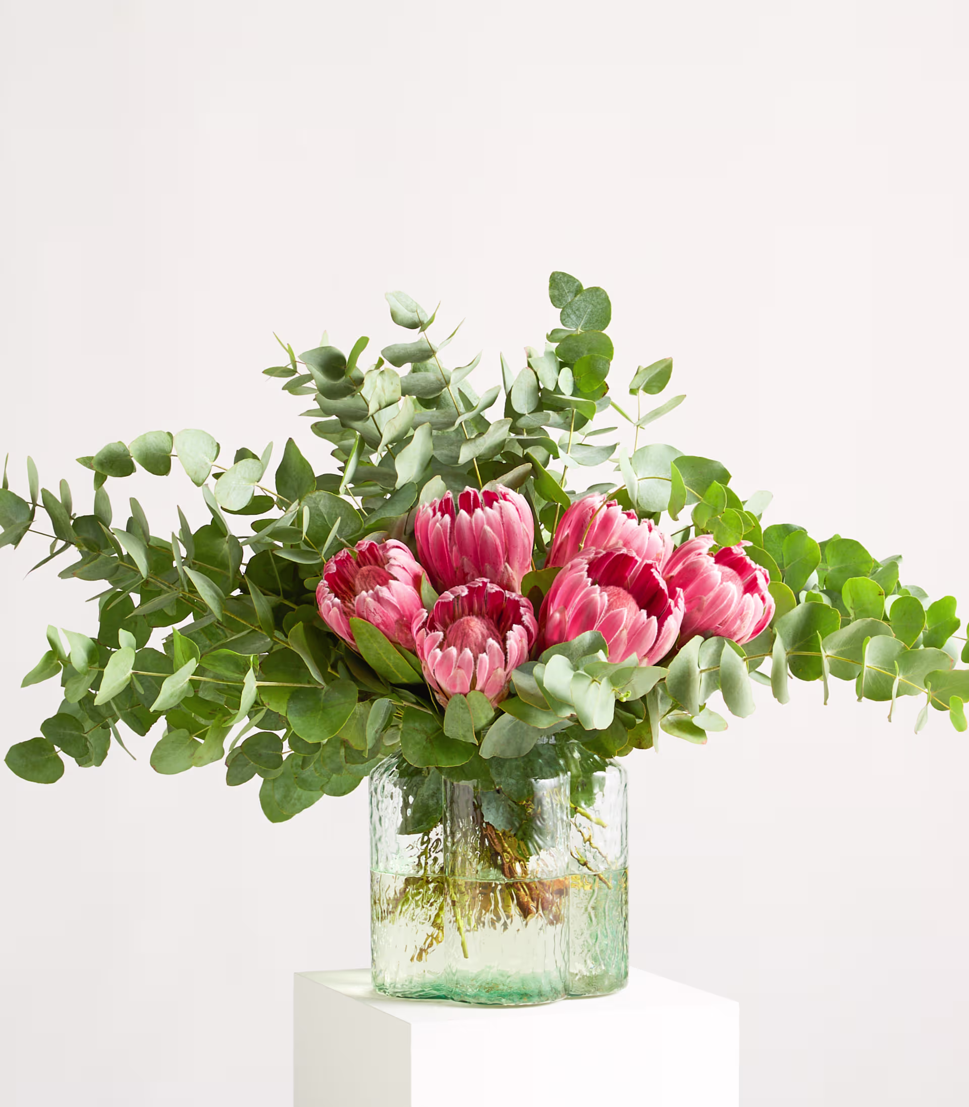 Ein Strauß aus rosa Proteablüten und grünen Eukalyptusblättern steht in einer Glasvase auf einem weißen Sockel vor einem schlichten weißen Hintergrund. (Beschreibungstext KI-generiert)