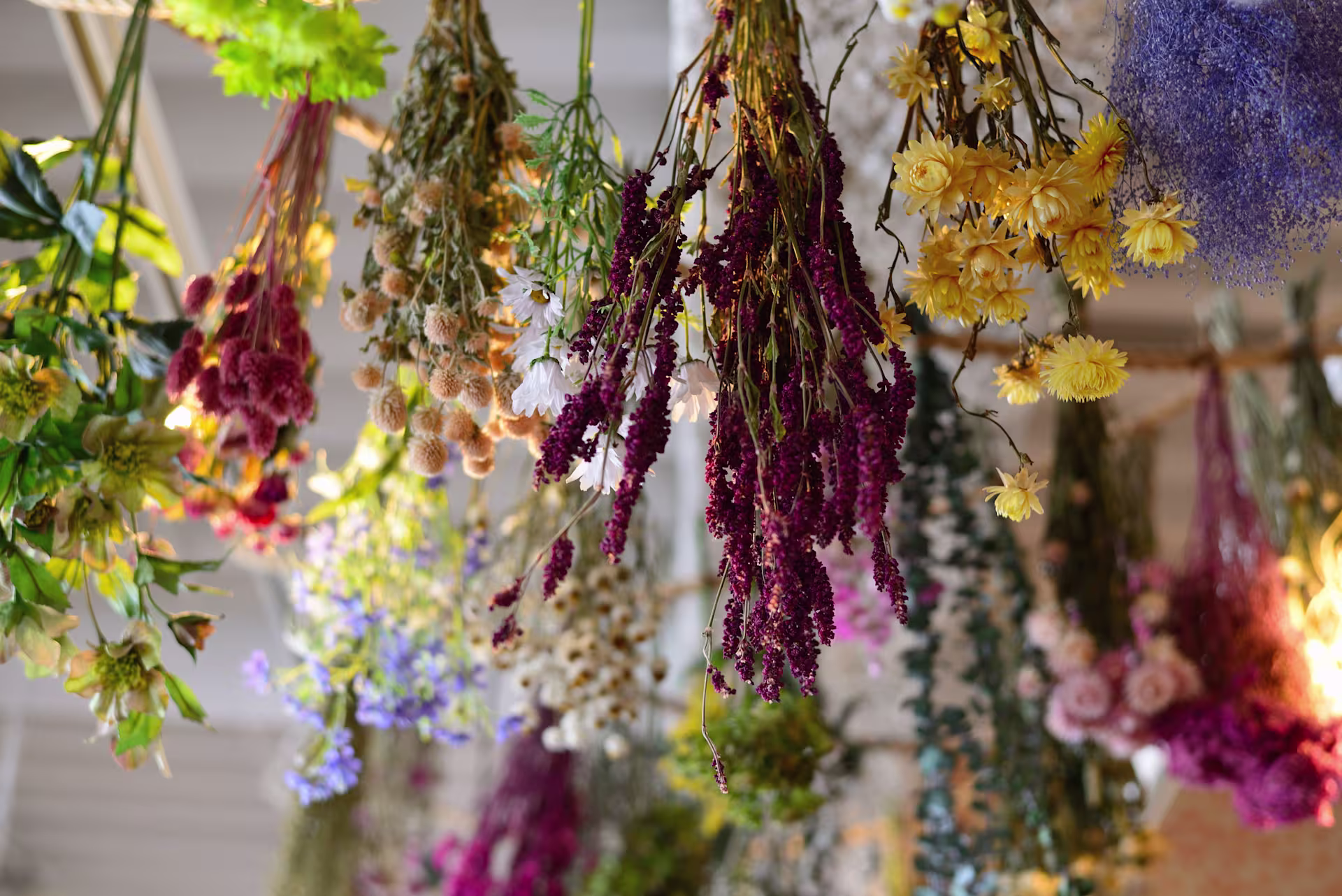 Eine farbenfrohe Ausstellung getrockneter Blumen und Pflanzen in verschiedenen Farben und Texturen hängt an einer Holzstruktur und schafft so ein bezauberndes und natürlich wirkendes Arrangement. (Beschreibungstext KI-generiert)