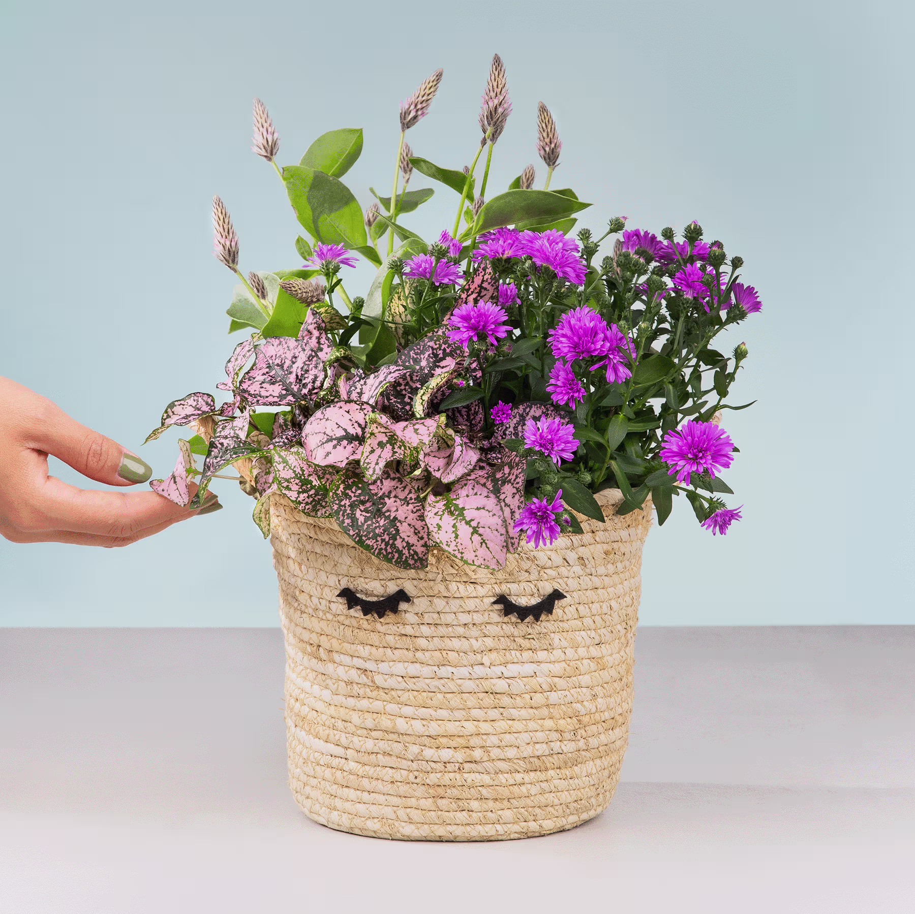 Ein geflochtener Korb voller leuchtend violetter und rosa Blumen steht auf einer hellen Oberfläche mit einem schlichten blaugrauen Hintergrund. (Beschreibungstext KI-generiert)