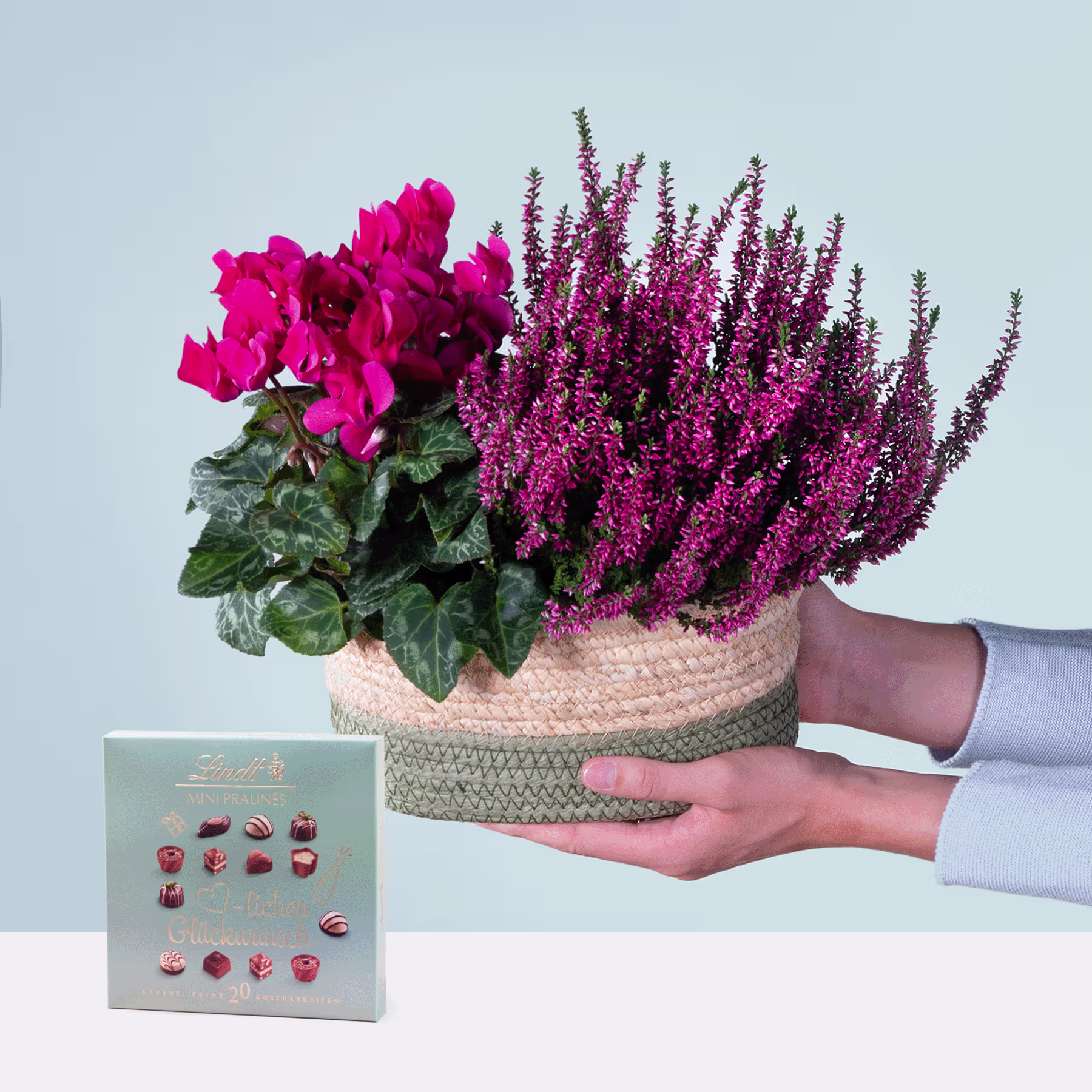 Das Bild zeigt einen Strauß leuchtend rosa Bougainvillea-Blüten und violette Heidepflanzen in einem geflochtenen Korb, der von einer Person in den Händen gehalten wird, vor einem schlichten hellblauen Hintergrund. (Beschreibungstext KI-generiert)
