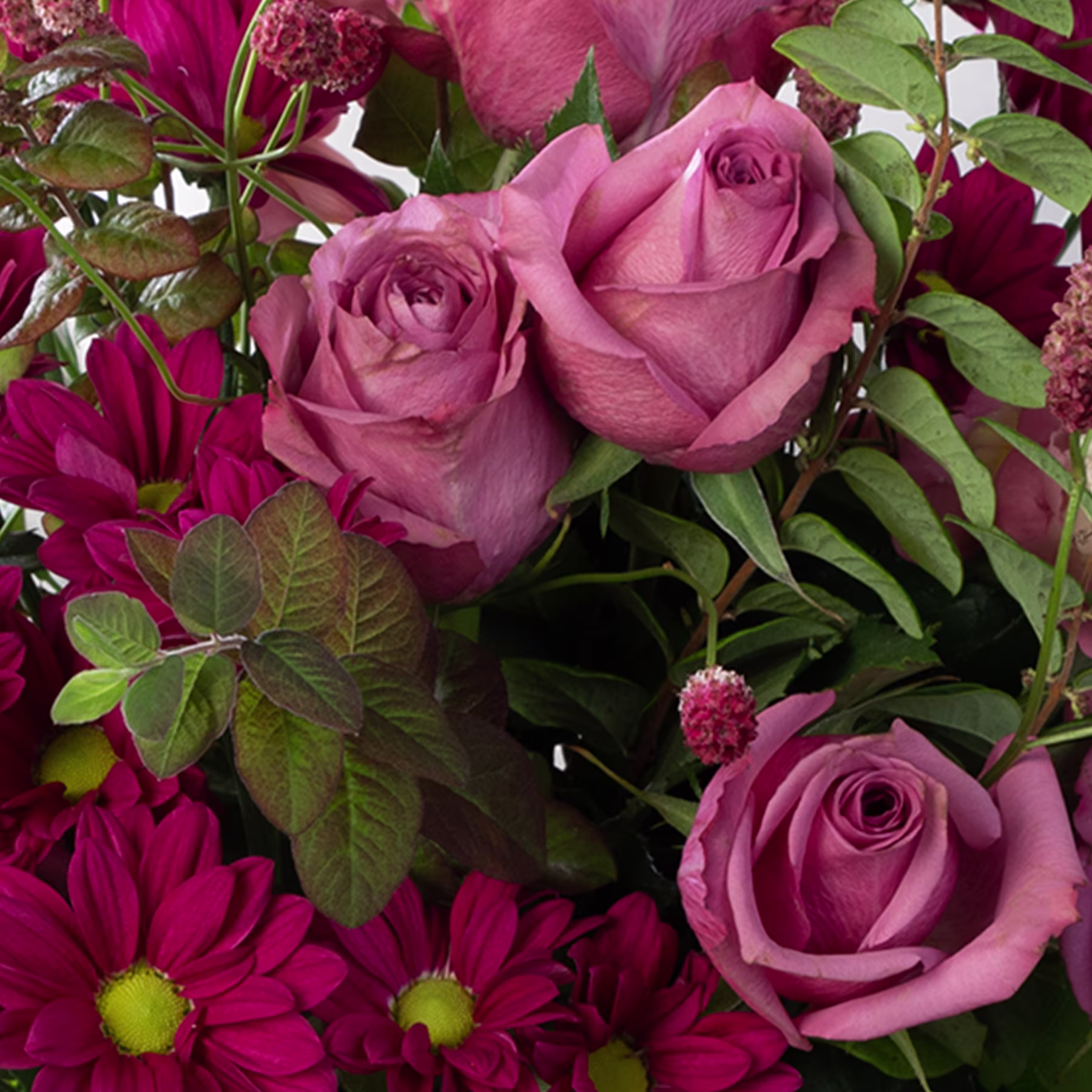 Ein leuchtender Strauß aus rosa Rosen, roten Dahlien und üppigem grünem Laub füllt den Rahmen und schafft ein bezauberndes und optisch beeindruckendes Blumenarrangement. (Beschreibungstext KI-generiert)