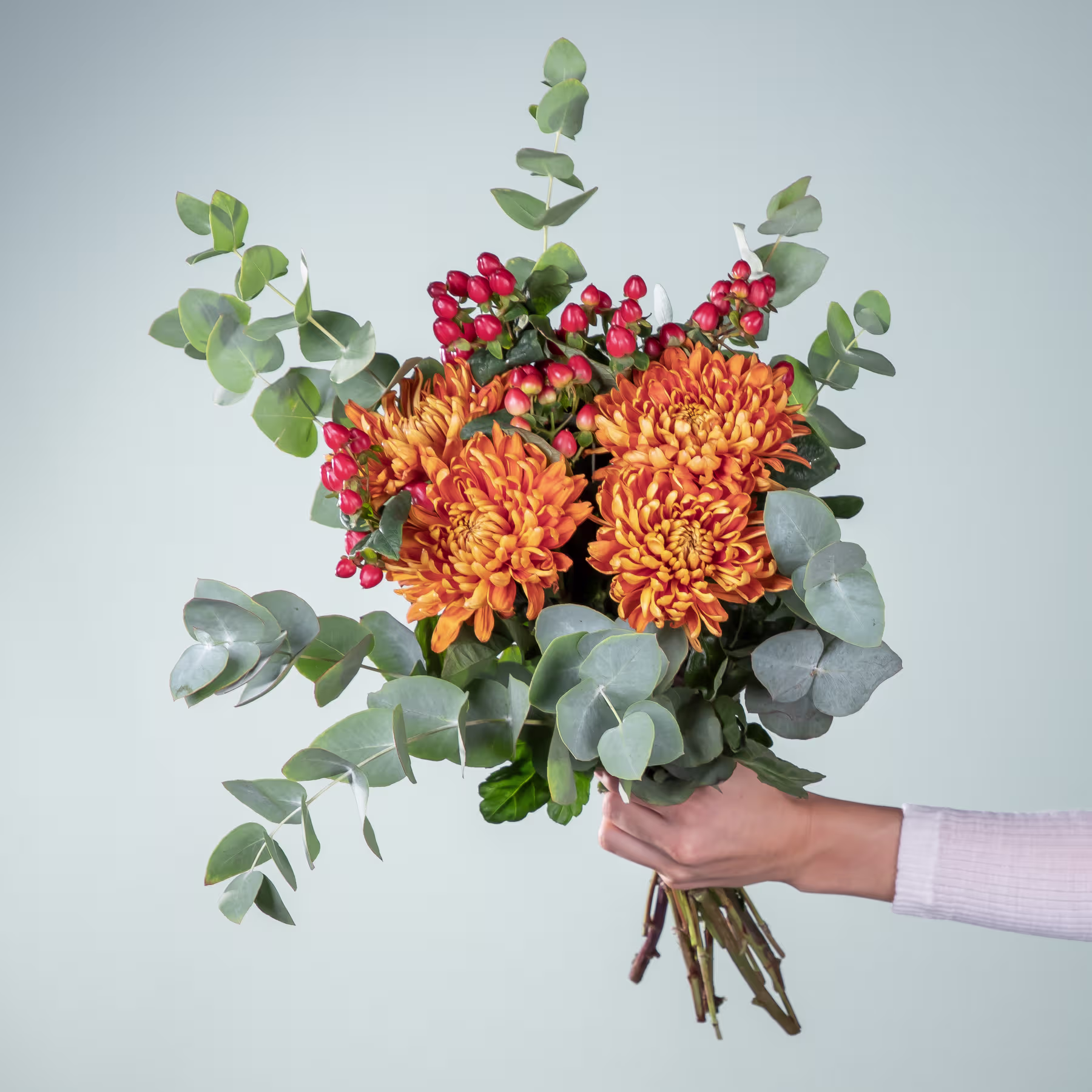 Ein lebendiger Strauß orangefarbener Chrysanthemen und roter Beeren, in einer Hand gehalten, vor einem hellblauen Hintergrund. (Beschreibungstext KI-generiert)